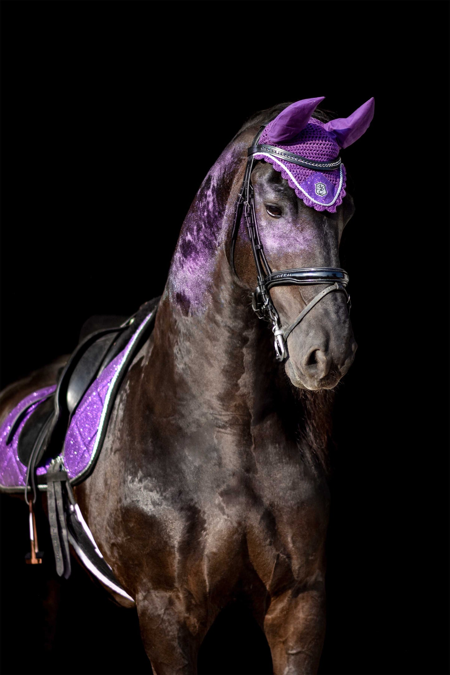 Purple Amethyst Fly Hat