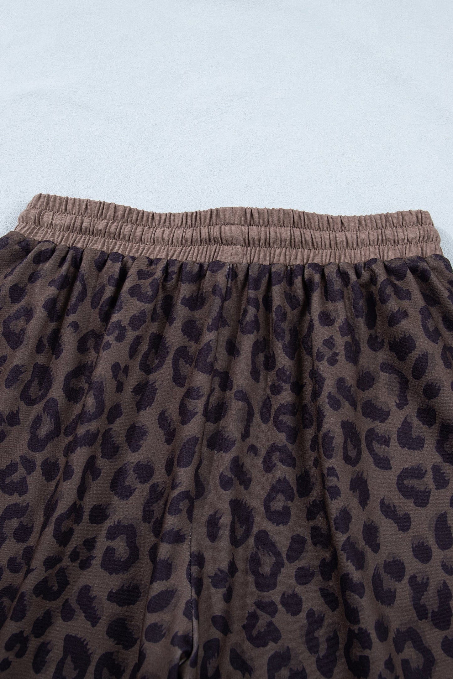 Leopard Collared V-Neck Top & Shorts Set