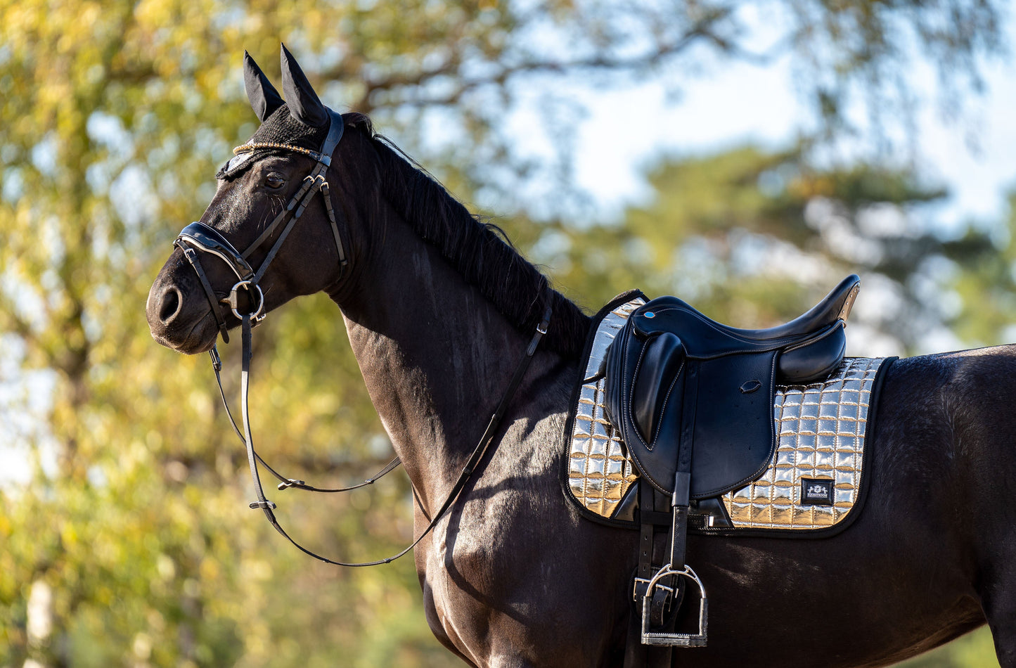 Aurum Saddle Pad