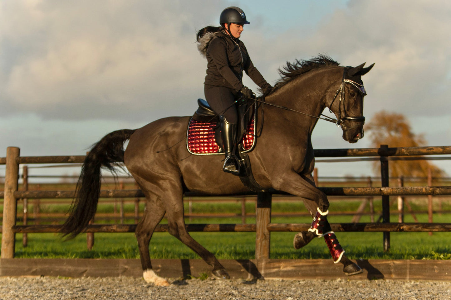Electric Red Saddle Pad