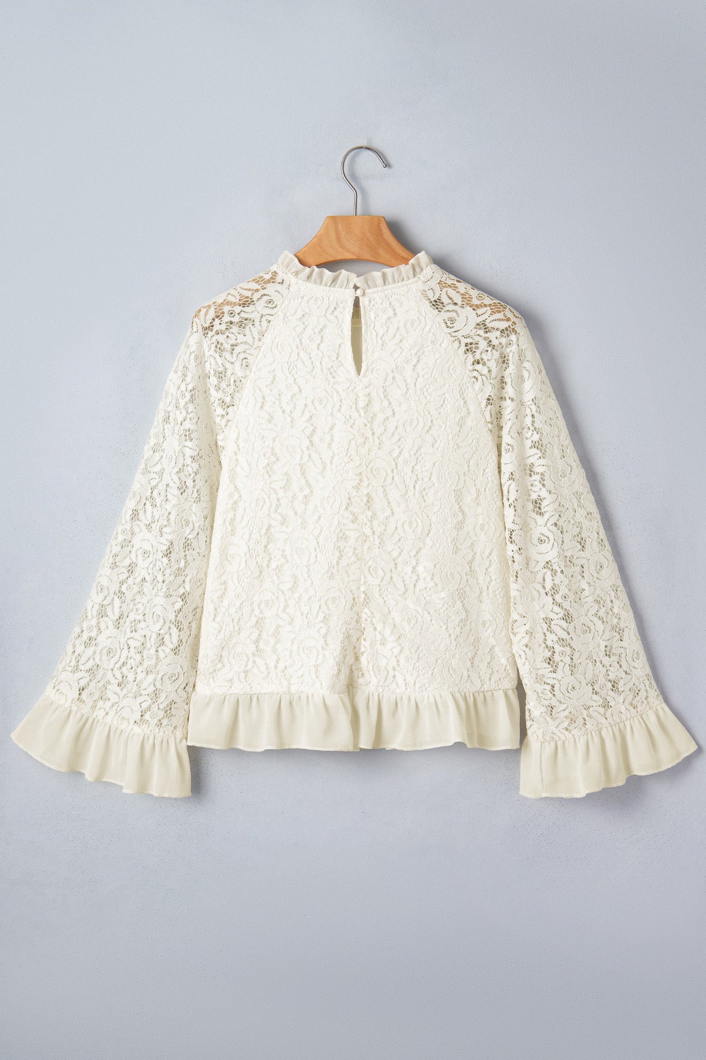 Sheer Lace Ruffle Trim Long Sleeve Blouse