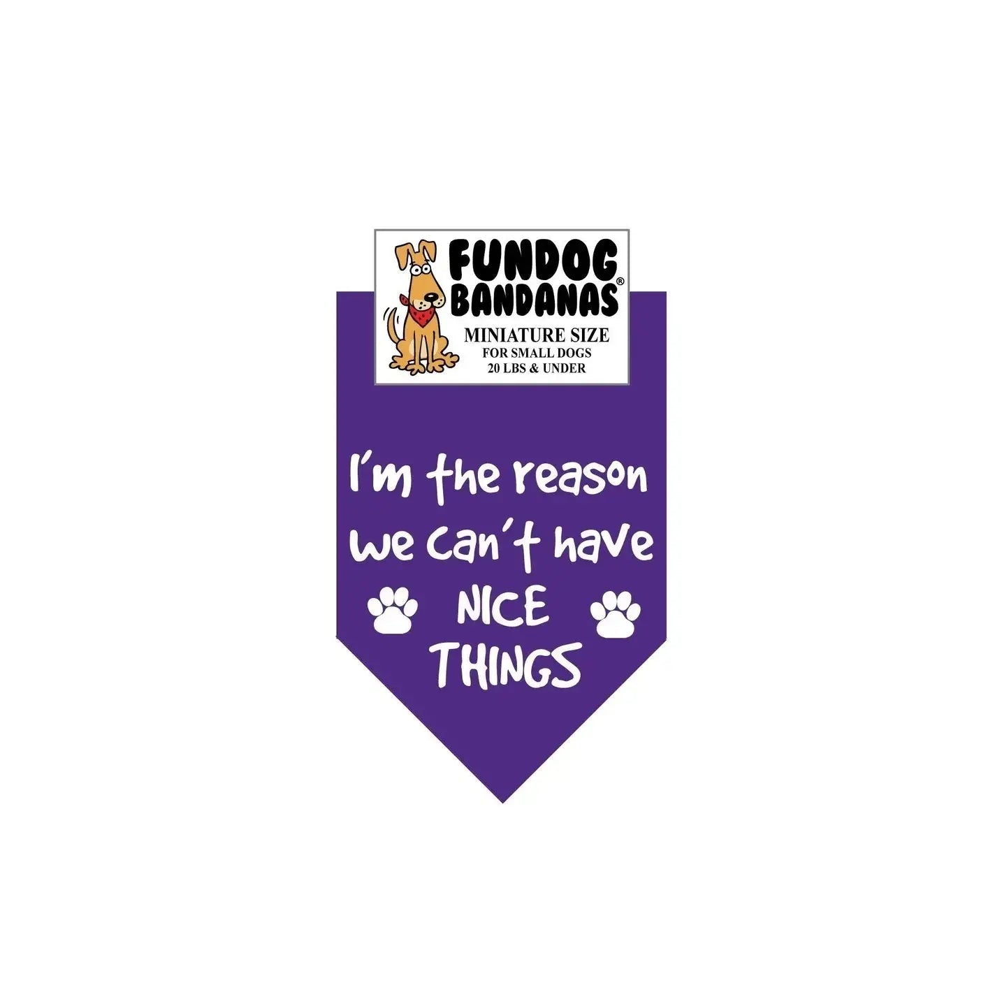 I'M the Reason We Can't Have Nice Things-Made in USA