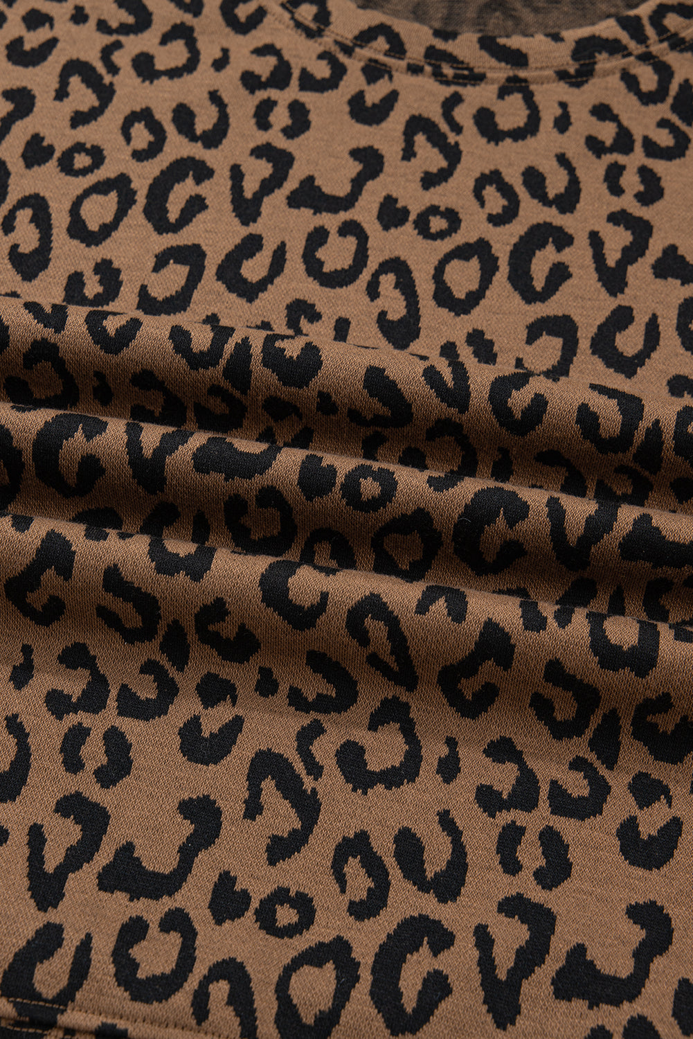 Leopard Varsity Stripe Trim Top & Drawstring Pants Set