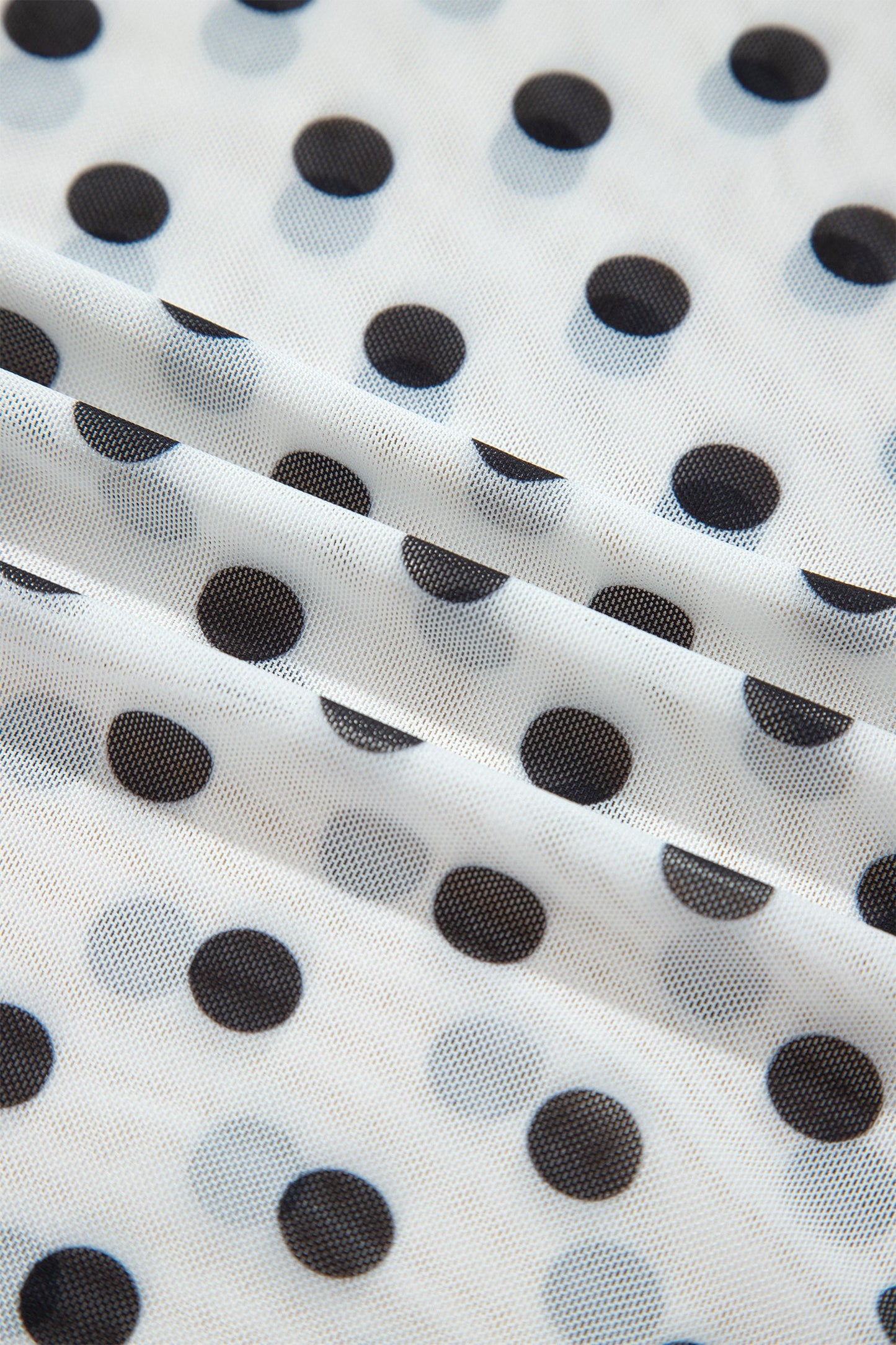 Polka Dot Sheer Mesh Long Sleeve Shift Top