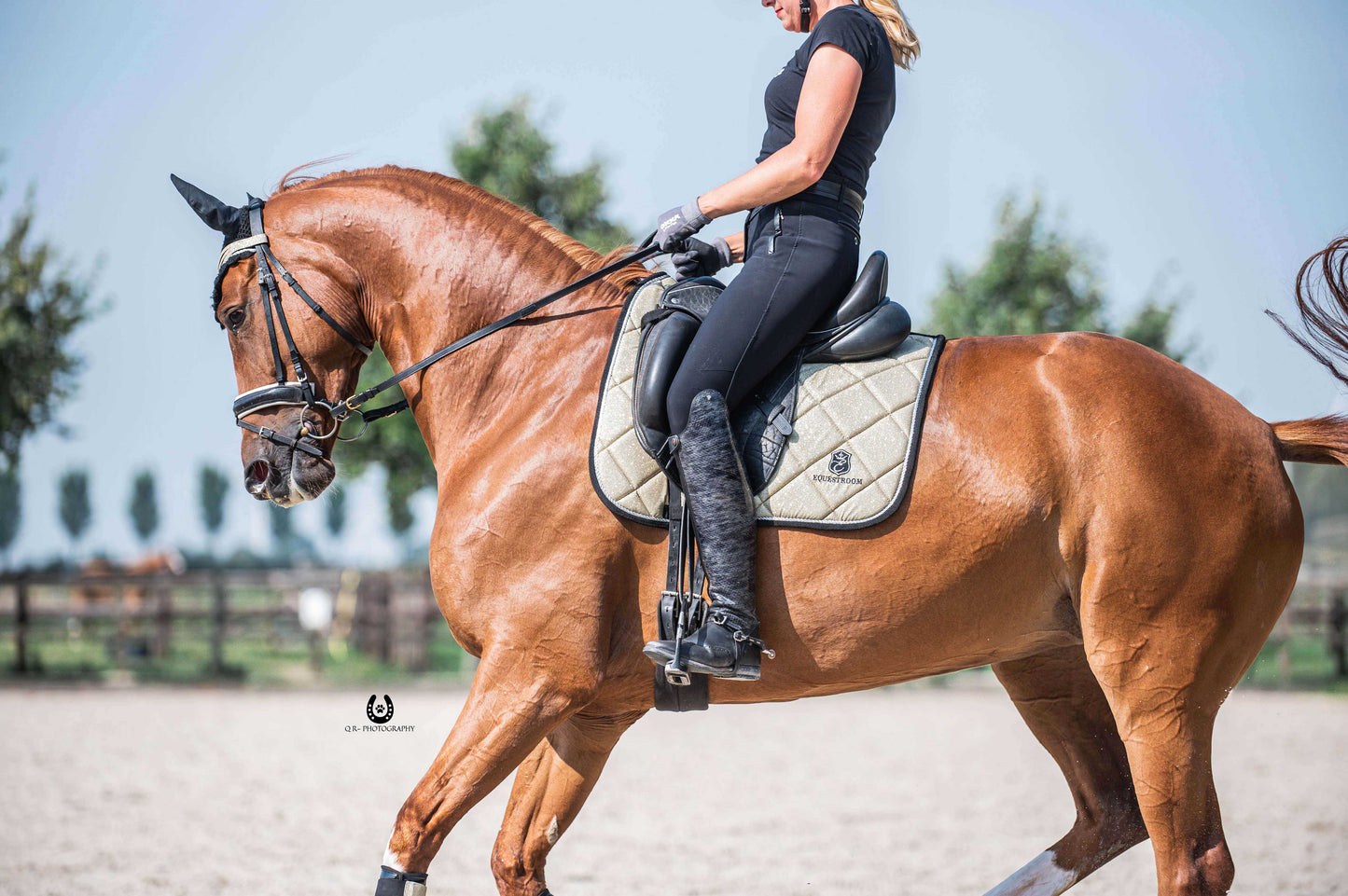 Champagne Saddle Pad Set