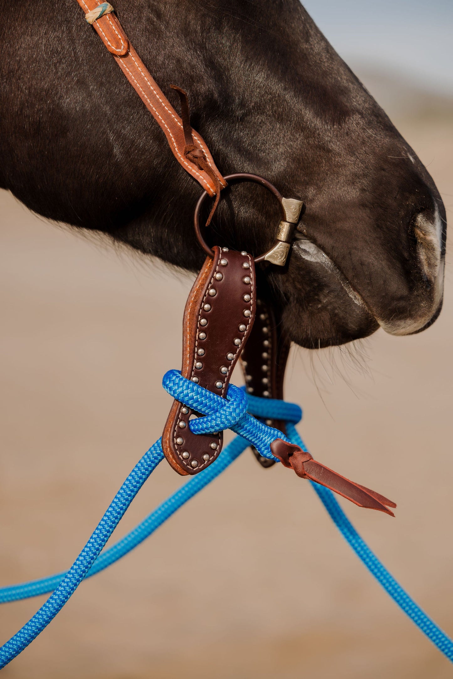 "California" Collection Set