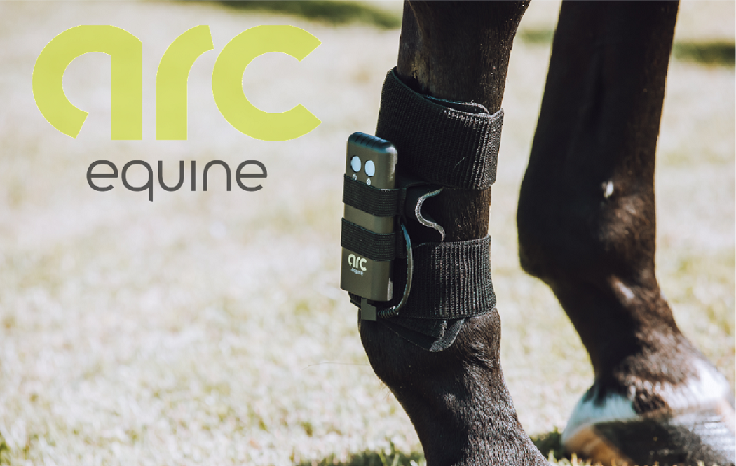 ARC Equine Therapy System Conductive Gel
