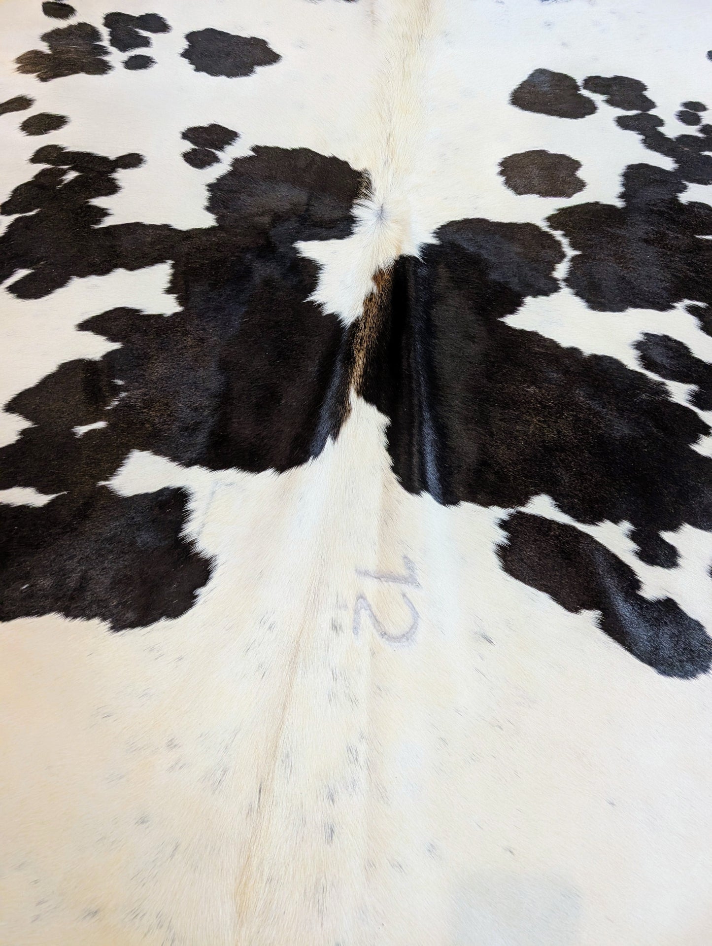"12" Full Cowhide