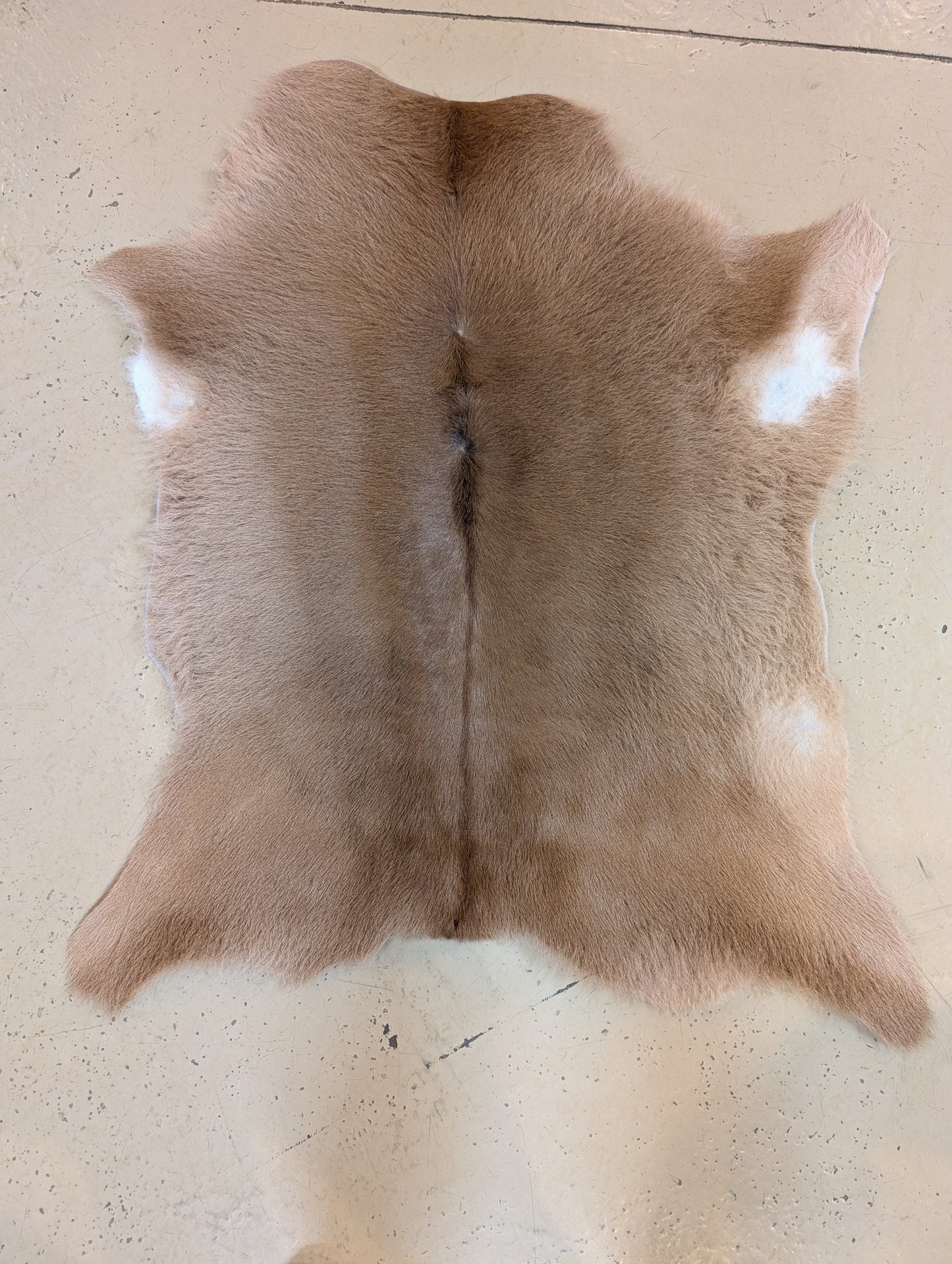 Small Genuine Cowhide – One-of-a-Kind Decor Piece