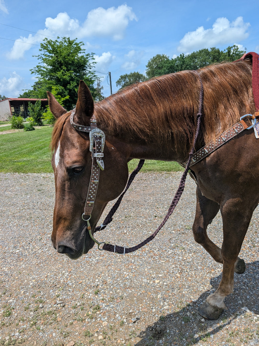 Remington Single Ear Headstall & Breast Collar Set – Crystal Accents & Bullet Conchos