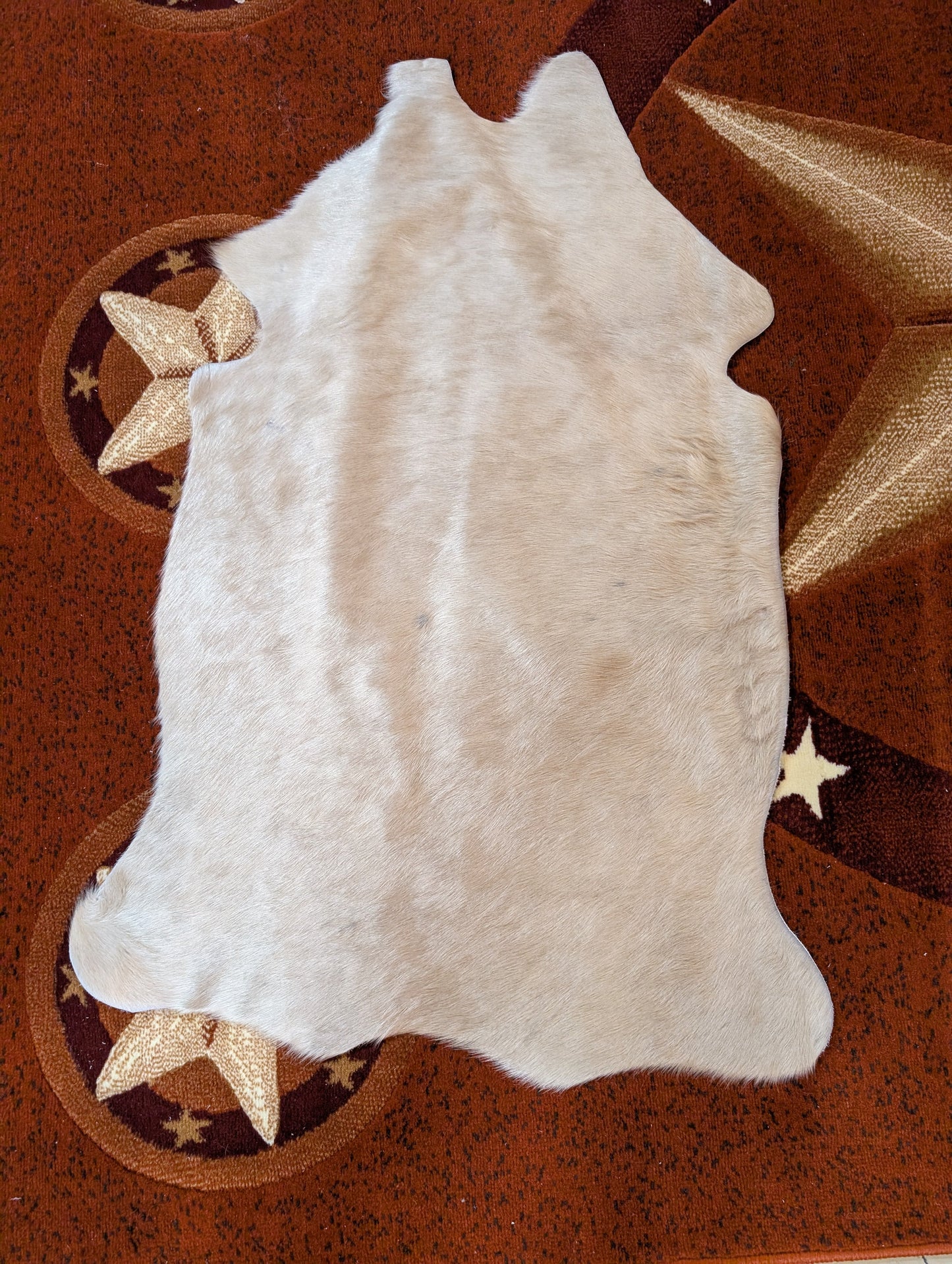 Small Genuine Cowhide – One-of-a-Kind Decor Piece