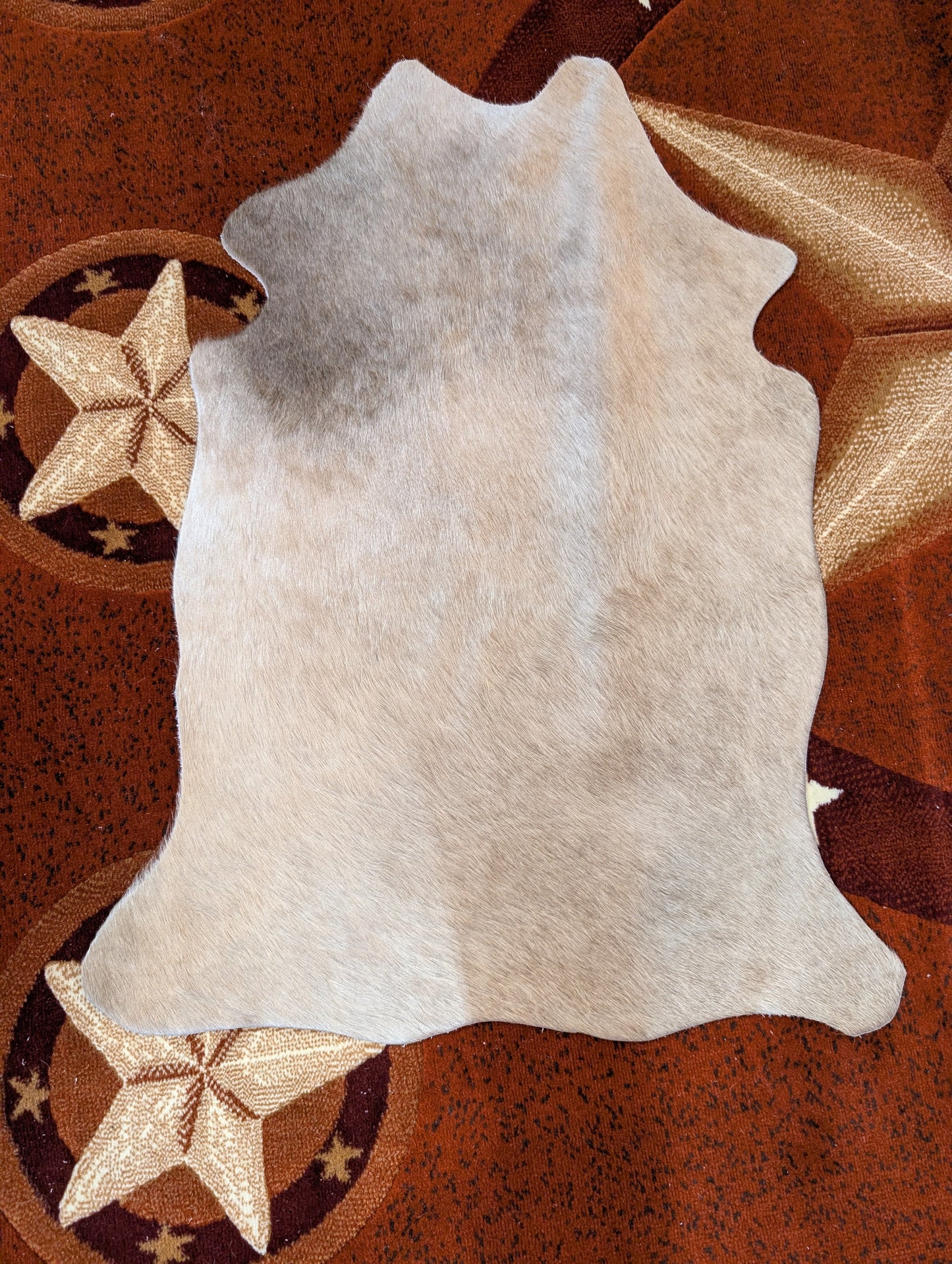 Small Genuine Cowhide – One-of-a-Kind Decor Piece