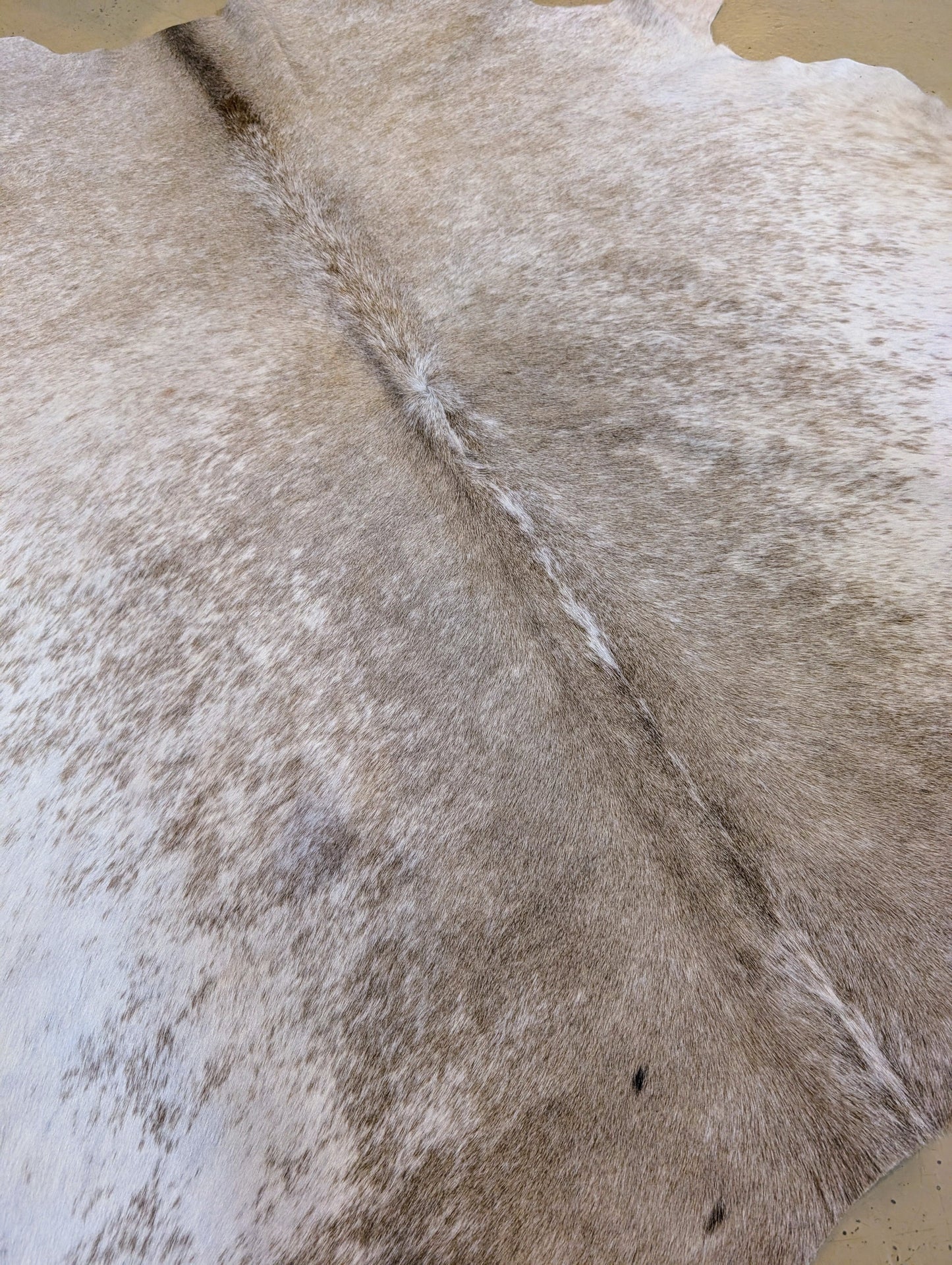 "Clairice" Full Cowhide