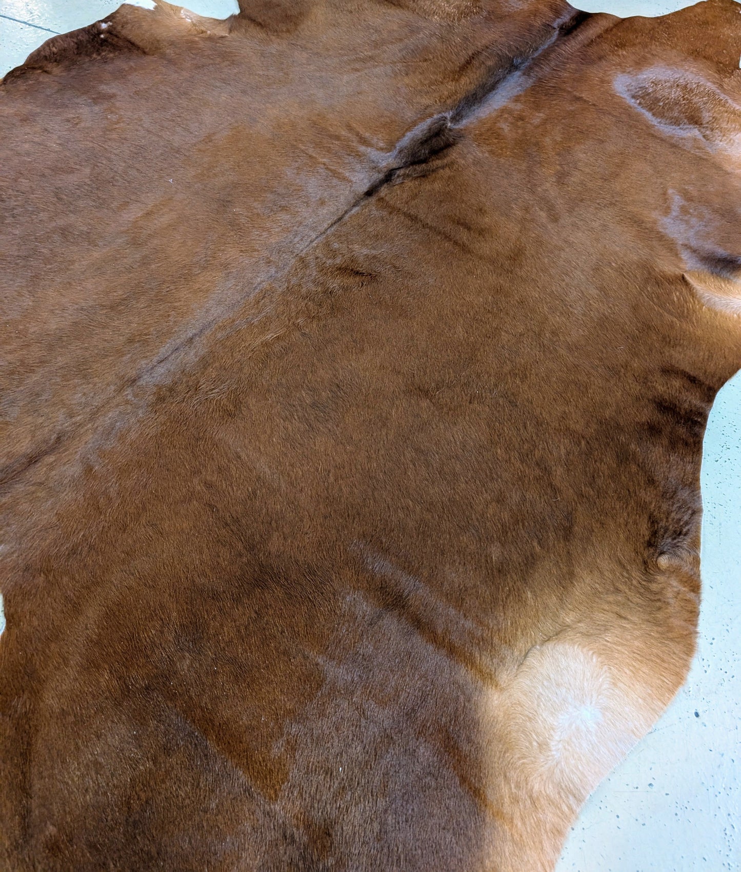 "Roja" Genuine Red  Full Cowhide