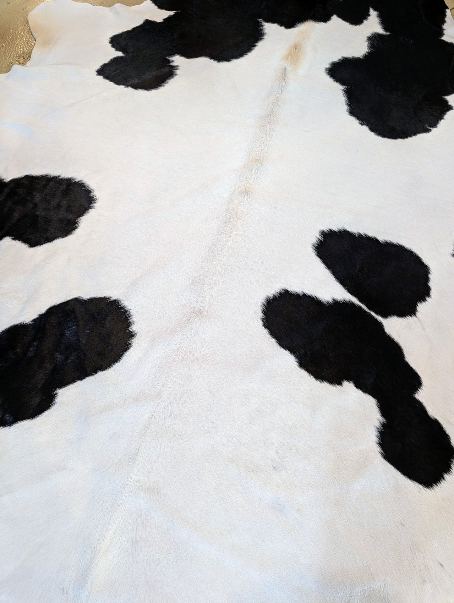 "Stub" Full Cowhide