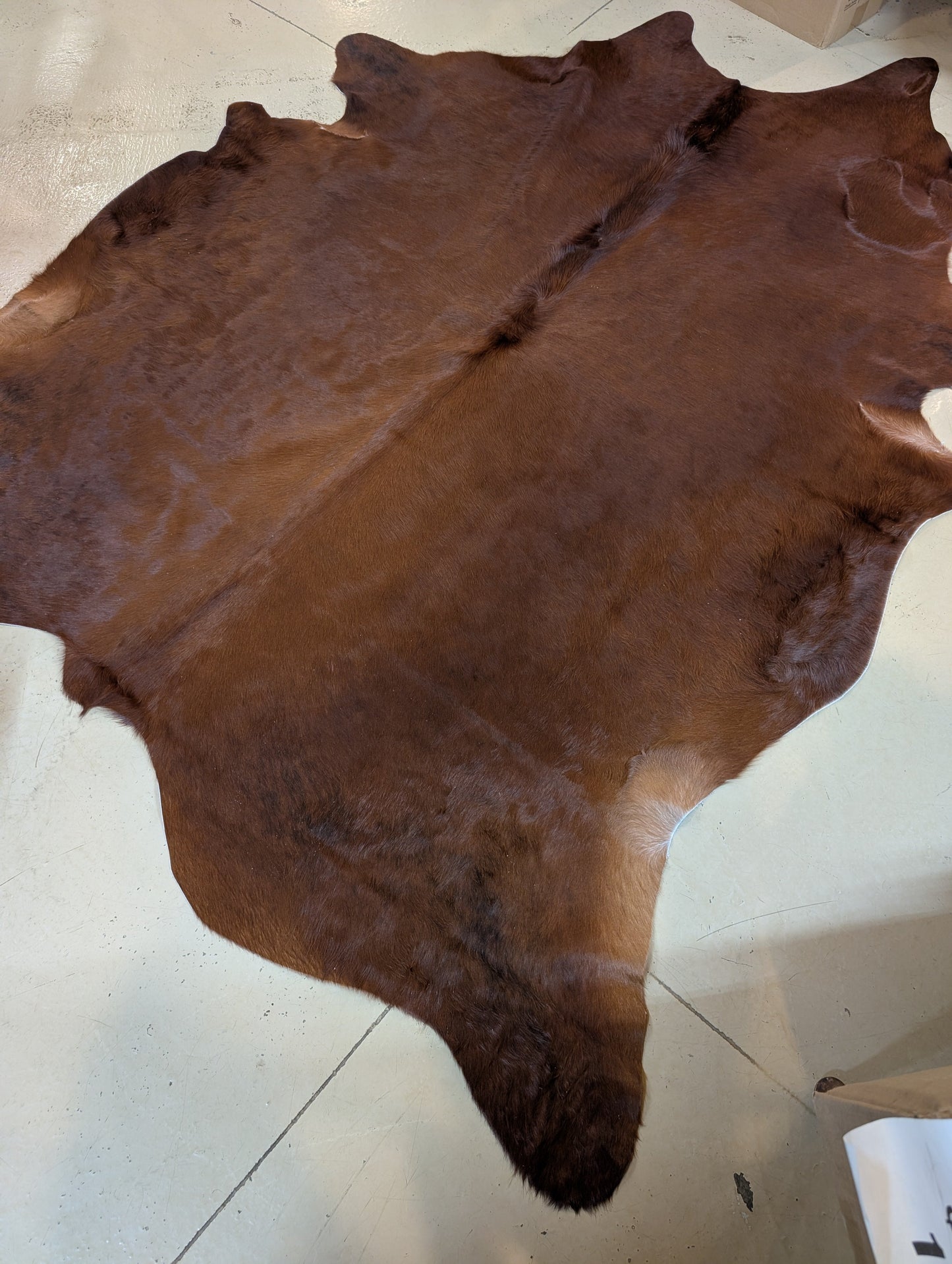 #2 Grade Full-Size Cowhides – Perfect for Crafts, DIY, & Western Projects