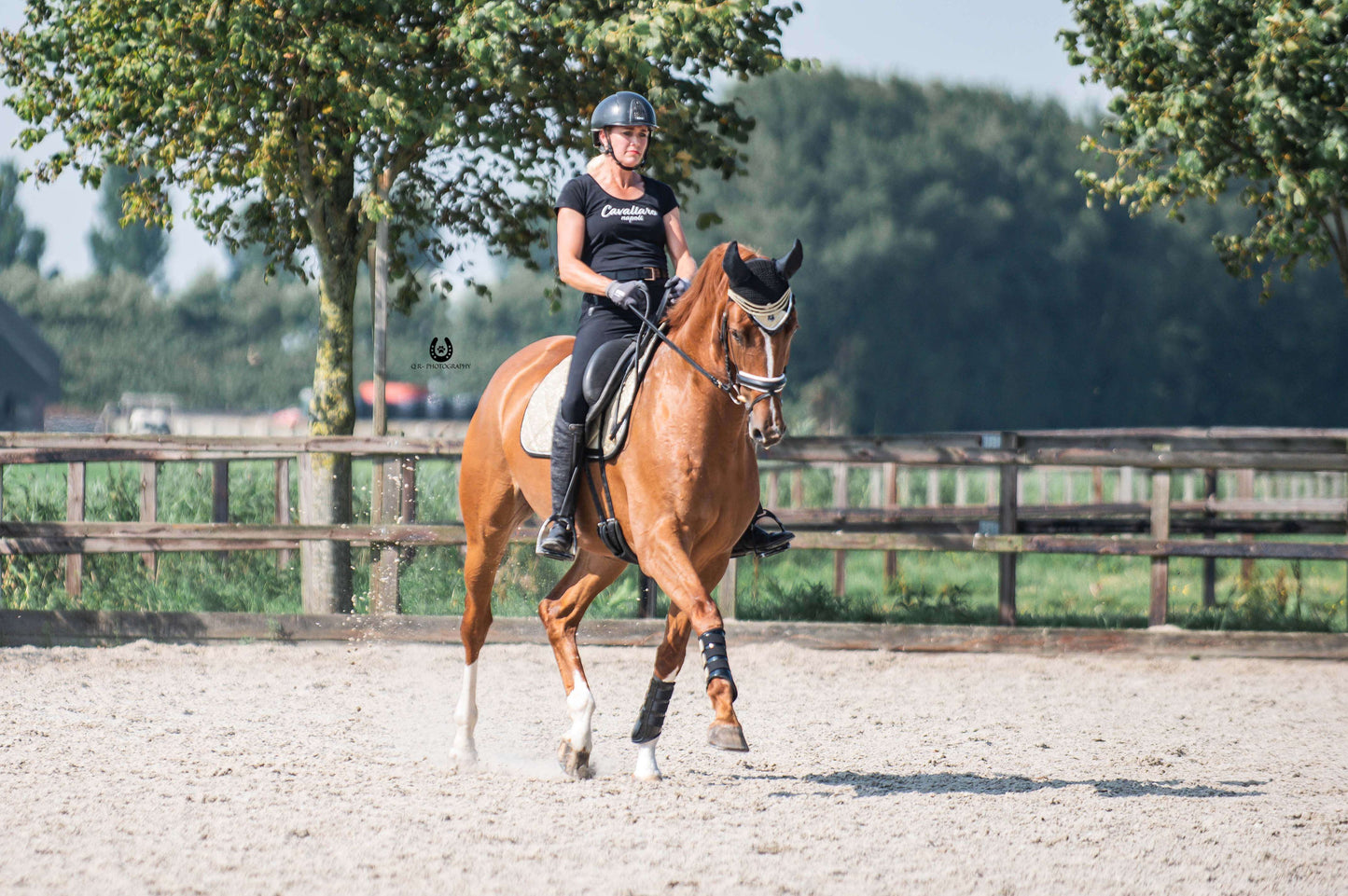 Champagne Saddle Pad Set