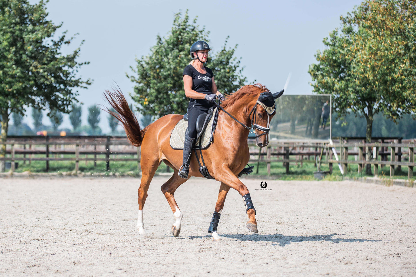 Champagne Saddle Pad Set
