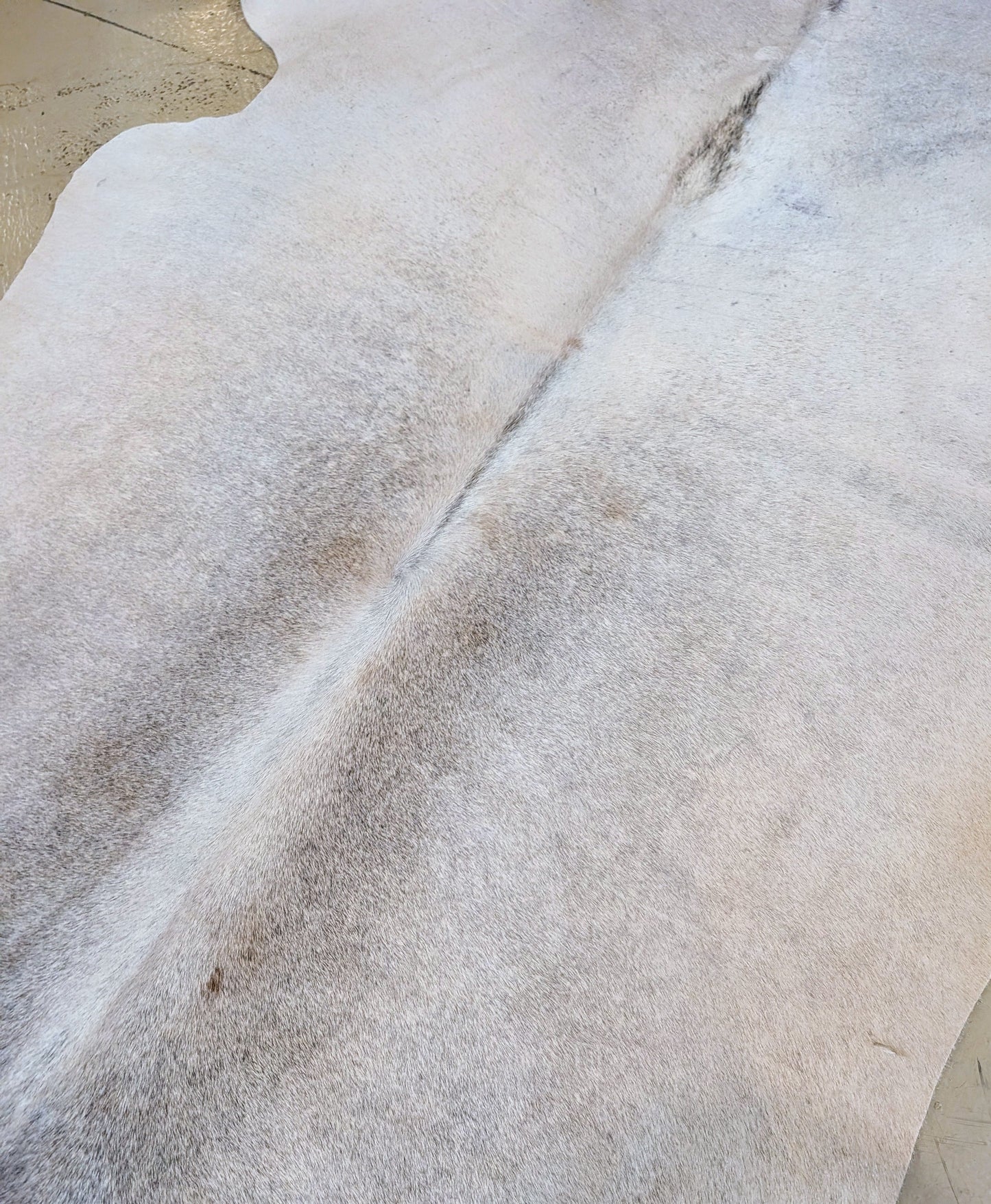 "Ferret" Full Cowhide