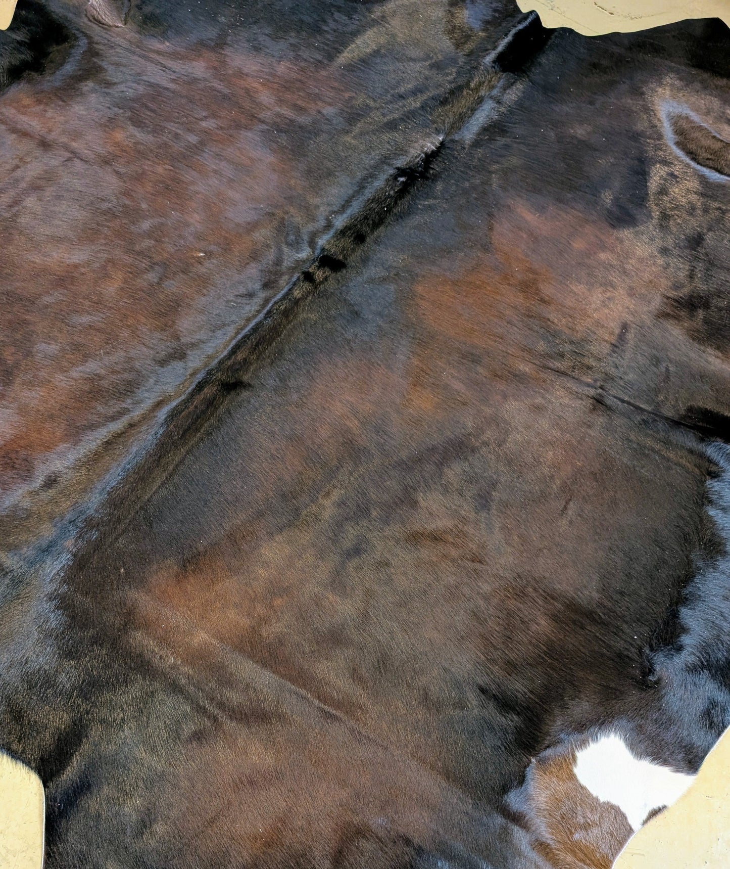 "Jewell" Genuine Branded Full Cowhide