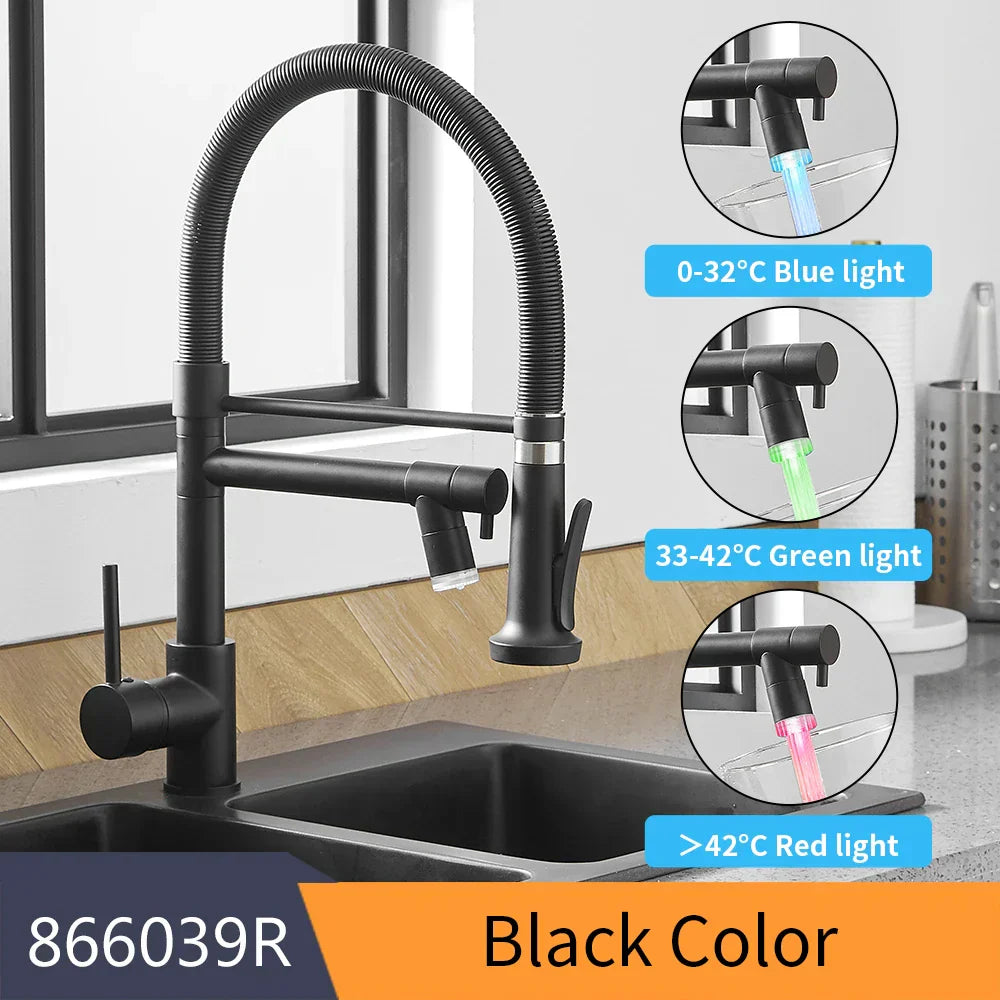 DecorBites™ LED Kitchen Faucet with Dual Spouts and Single Handle