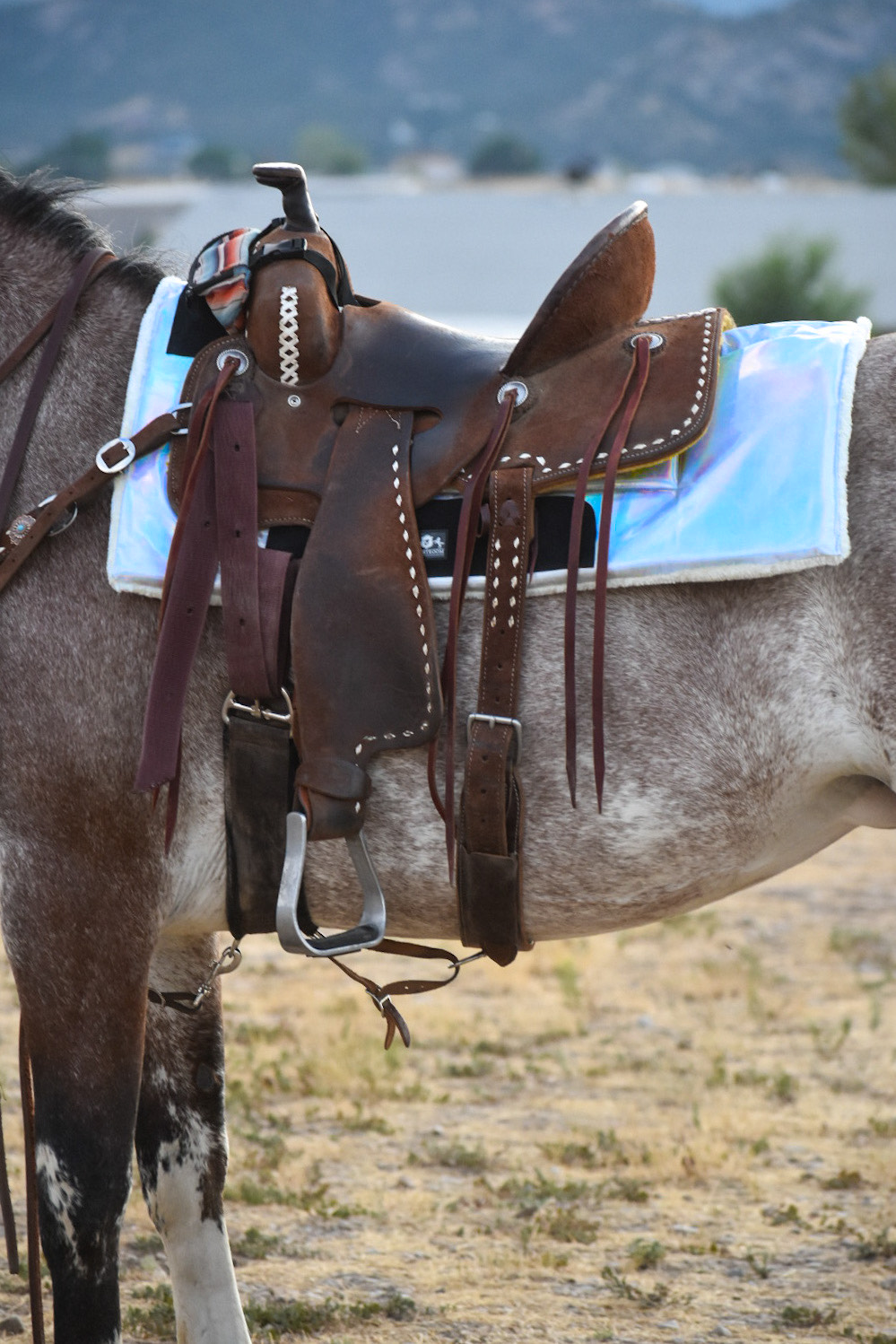 Holographic Western Pad