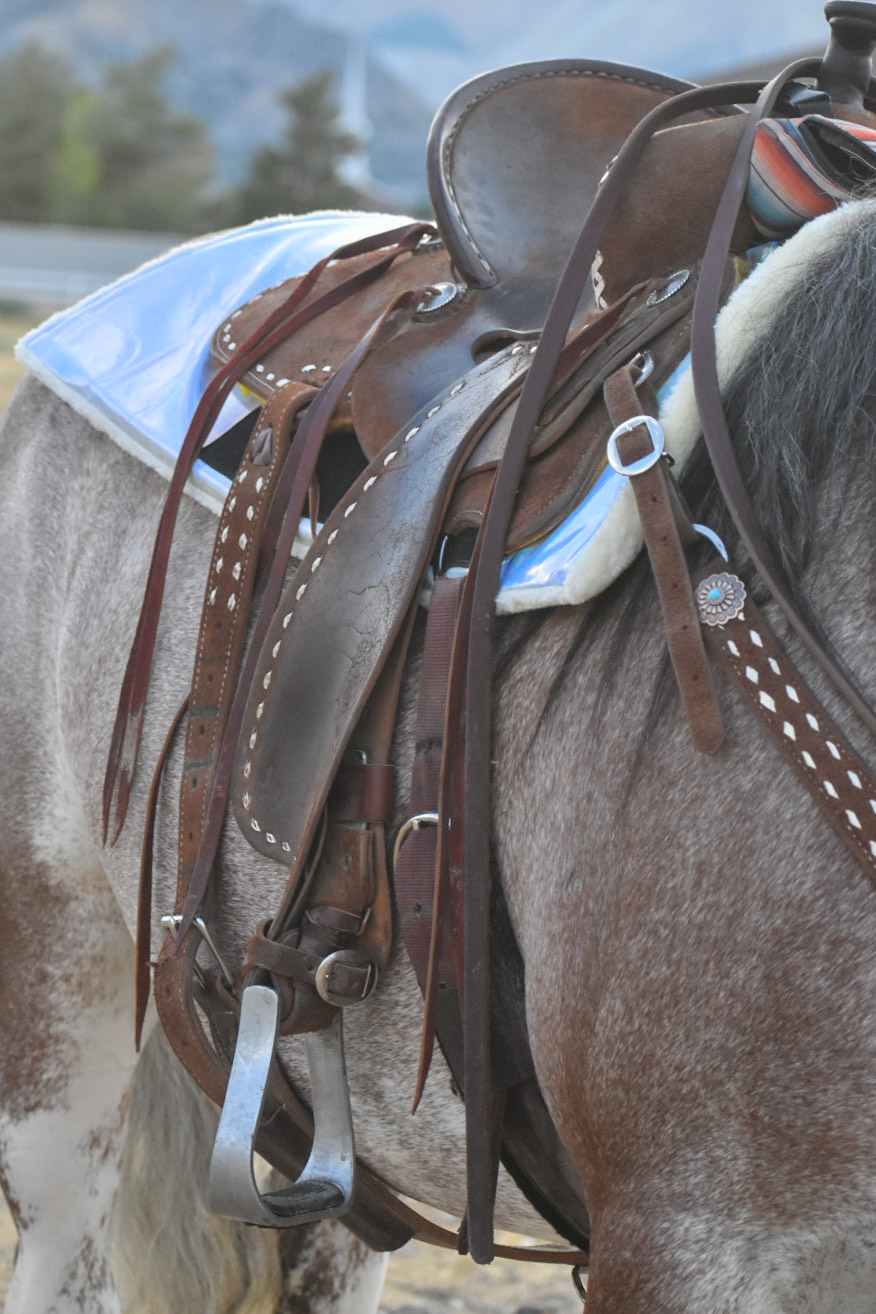 Holographic Western Pad