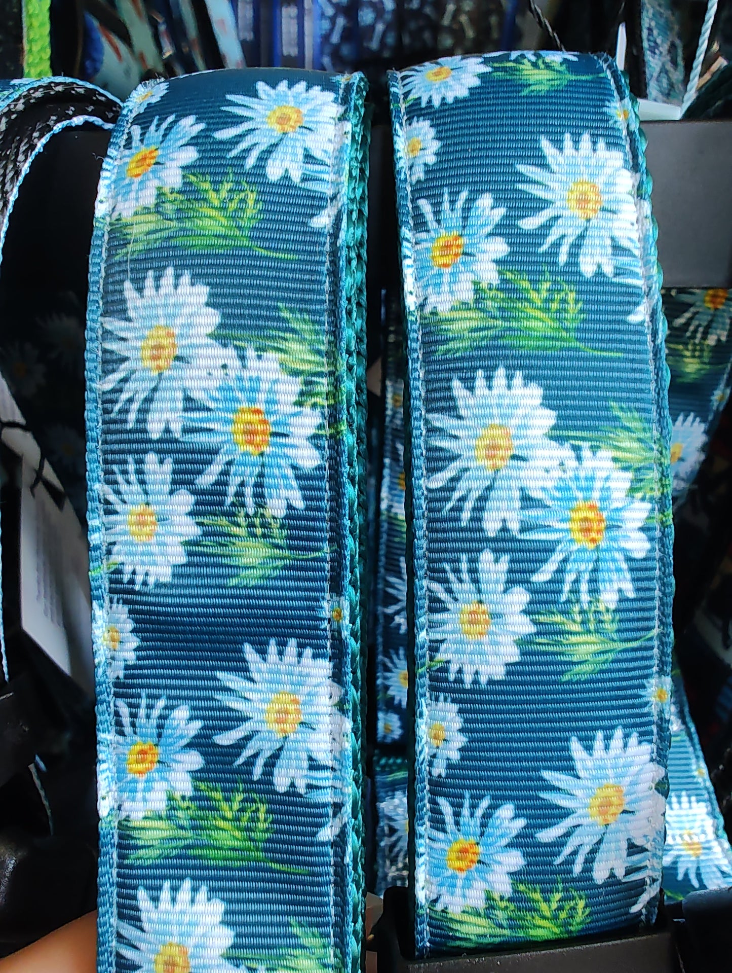 Watercolor Flowers Green Nylon Dog Collar MD, LG, XL, Leash