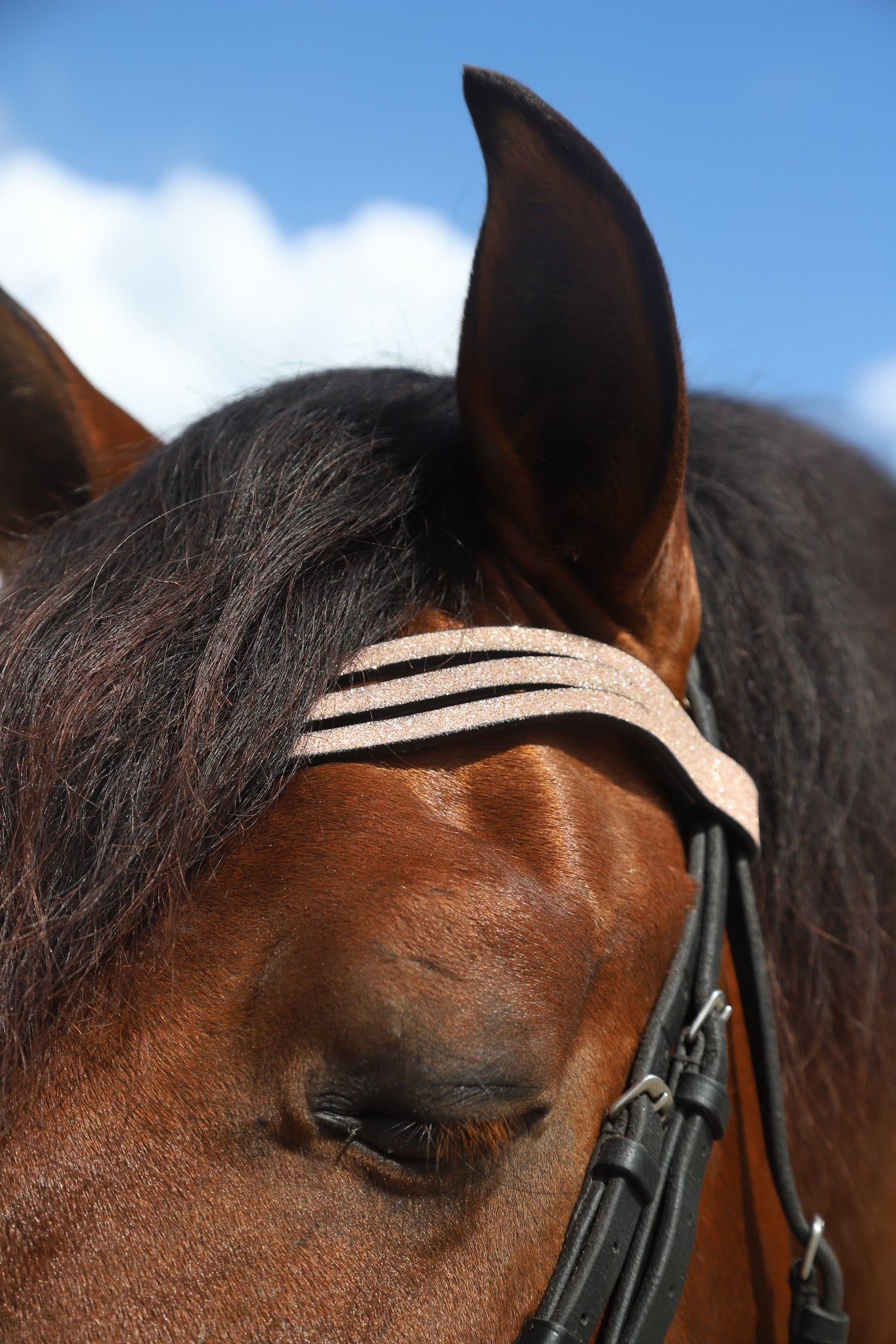 Rose Quartz Browband