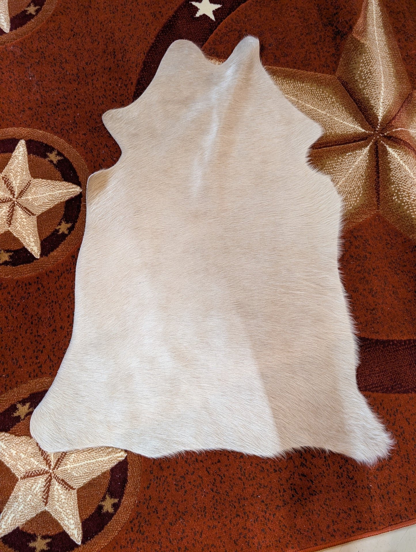 Small Genuine Cowhide – One-of-a-Kind Decor Piece