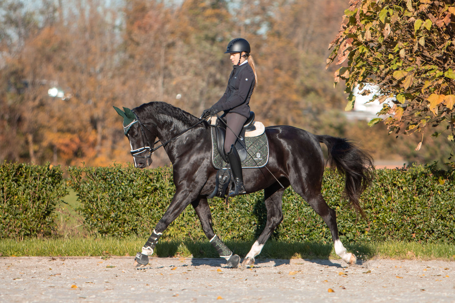 Jade Green Saddle Pad Set