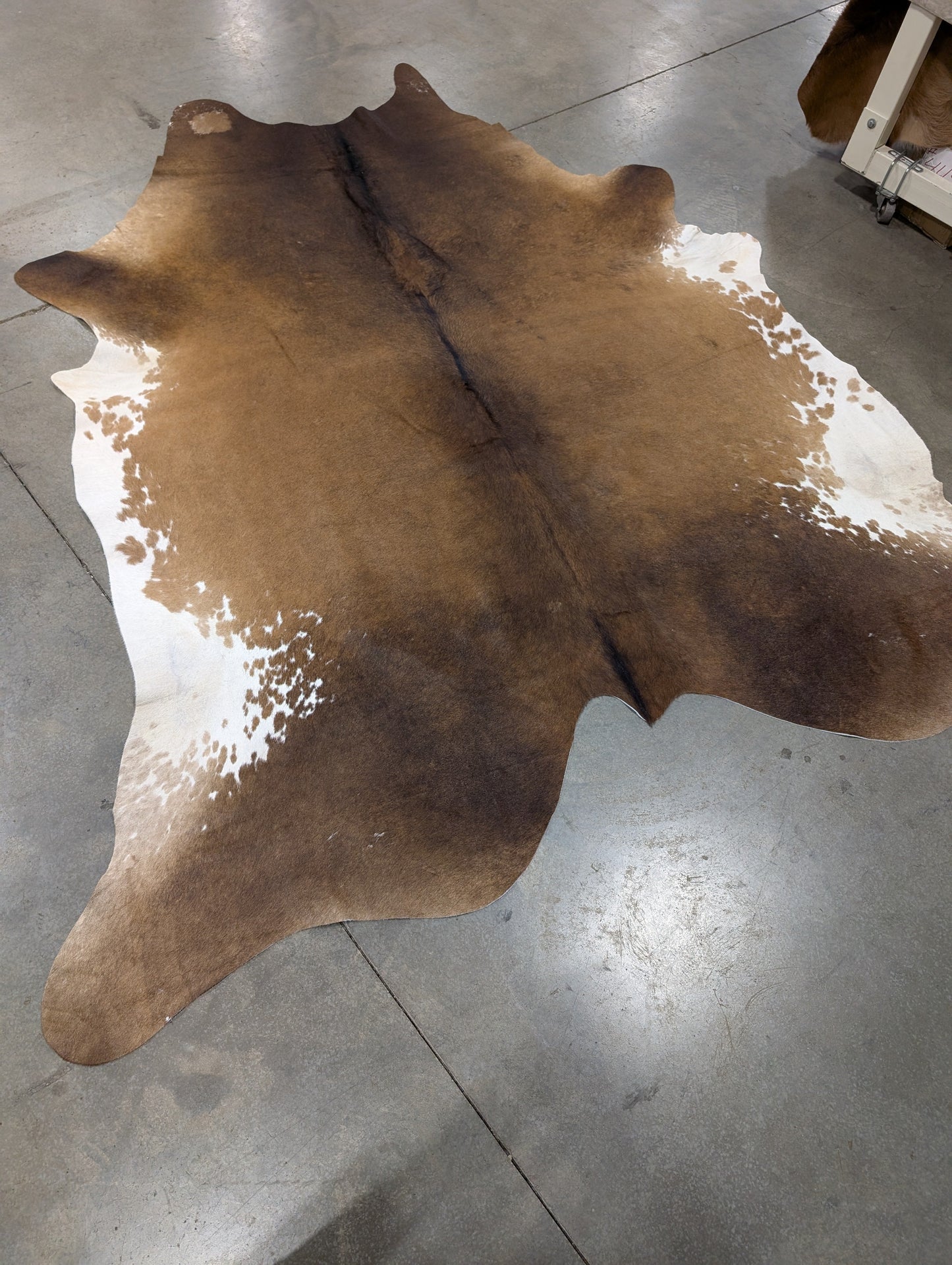 "Pardo" Full Cowhide