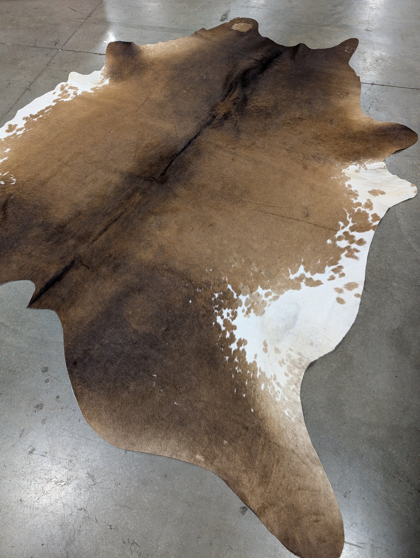 "Pardo" Full Cowhide