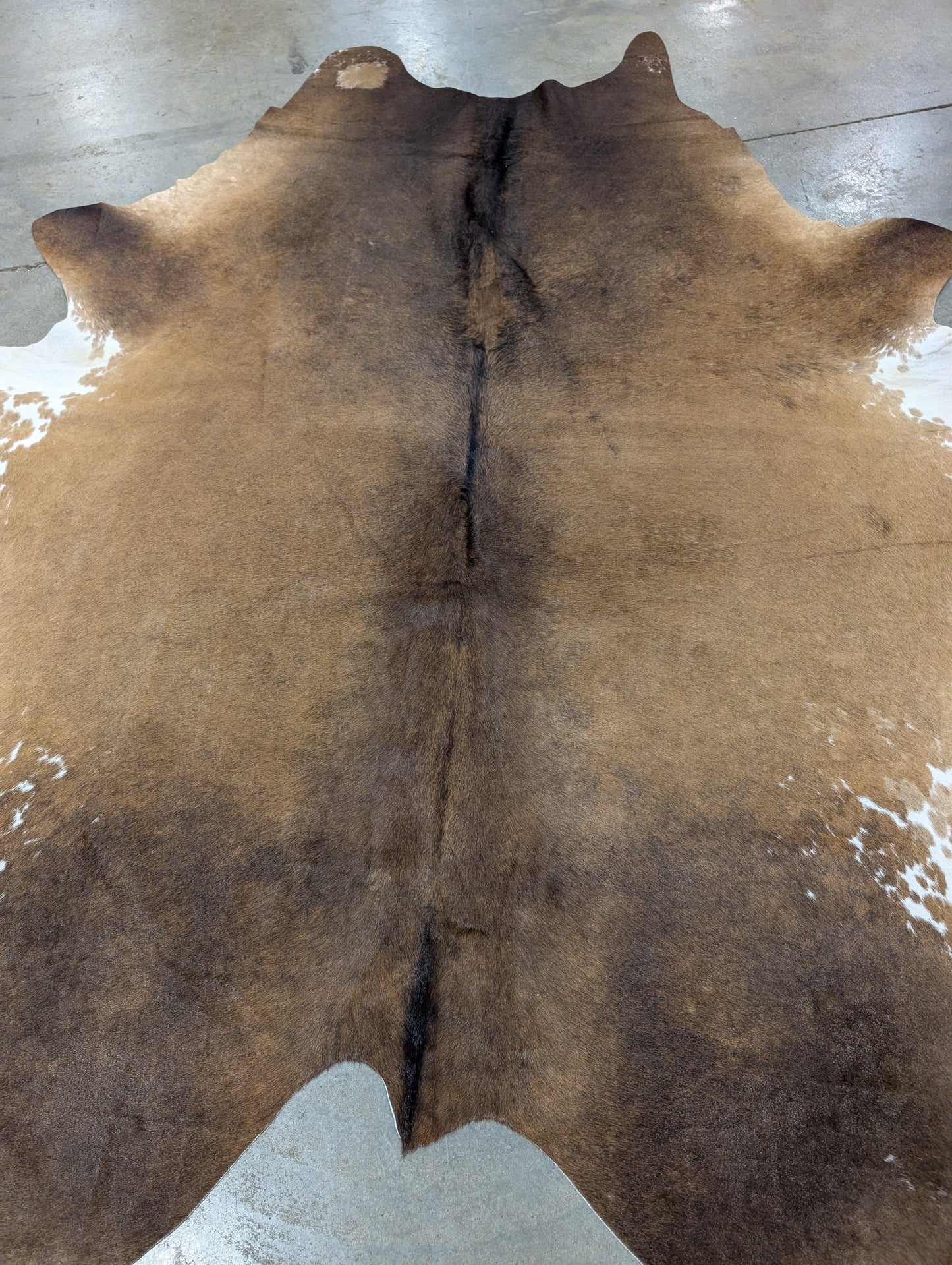 "Pardo" Full Cowhide