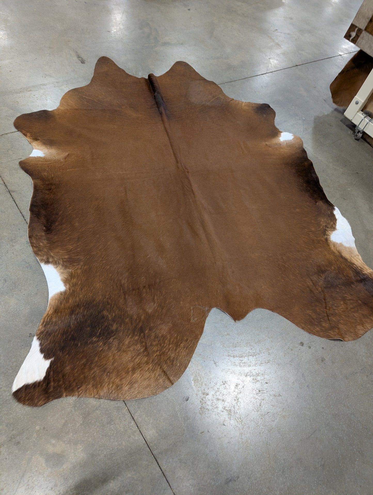 "Auburn Woods" Cowhide