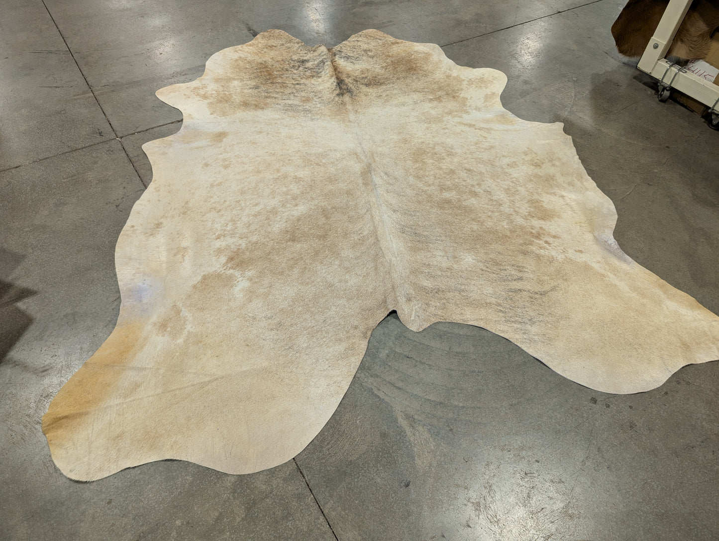 "Skylar" Cowhide