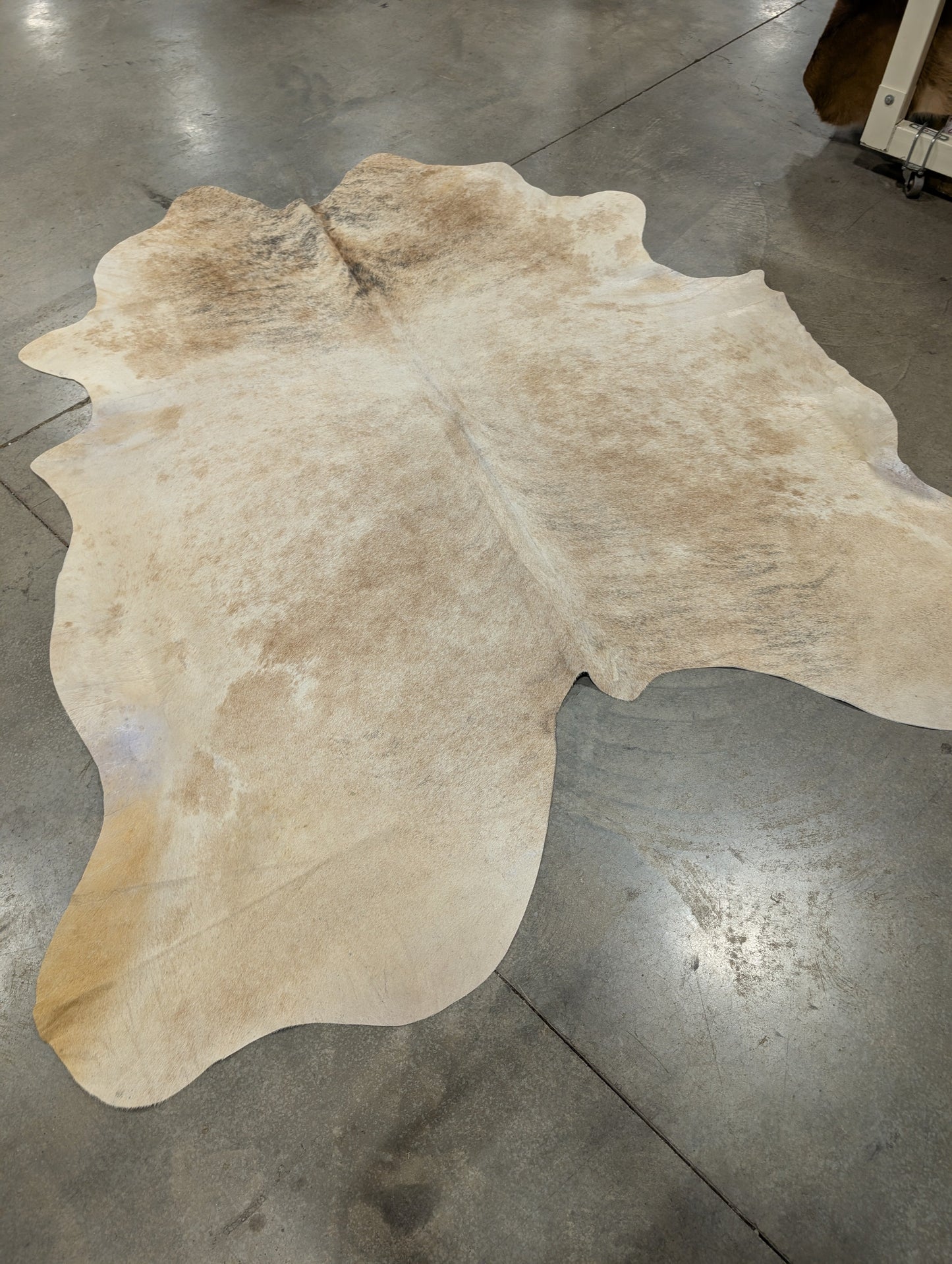 "Skylar" Cowhide