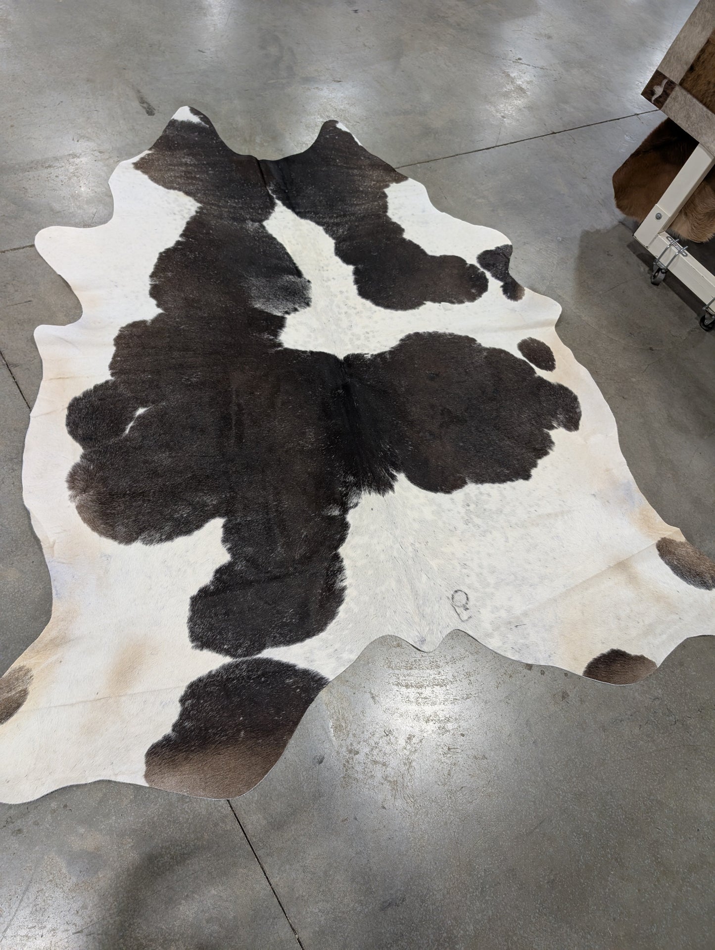 "Flo" Cowhide