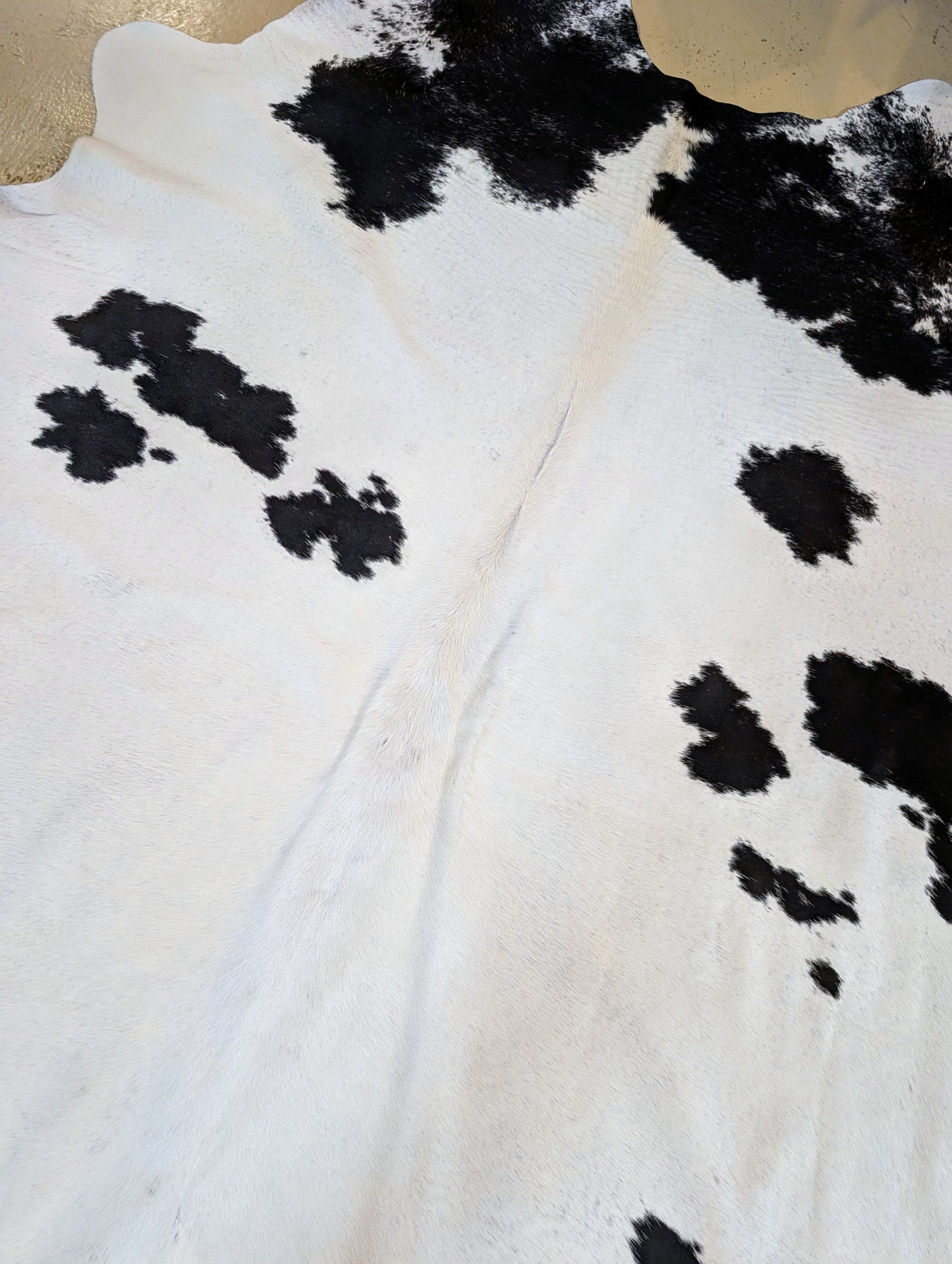 "Nate" Full Cowhide