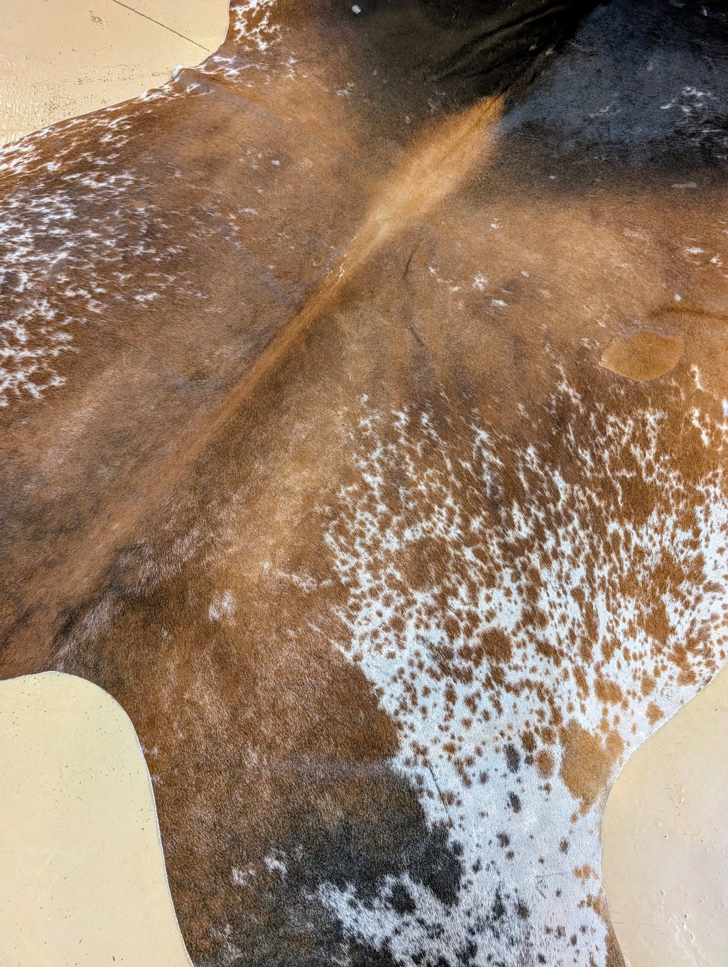 "Shakira" Full Cowhide - Tri-Color