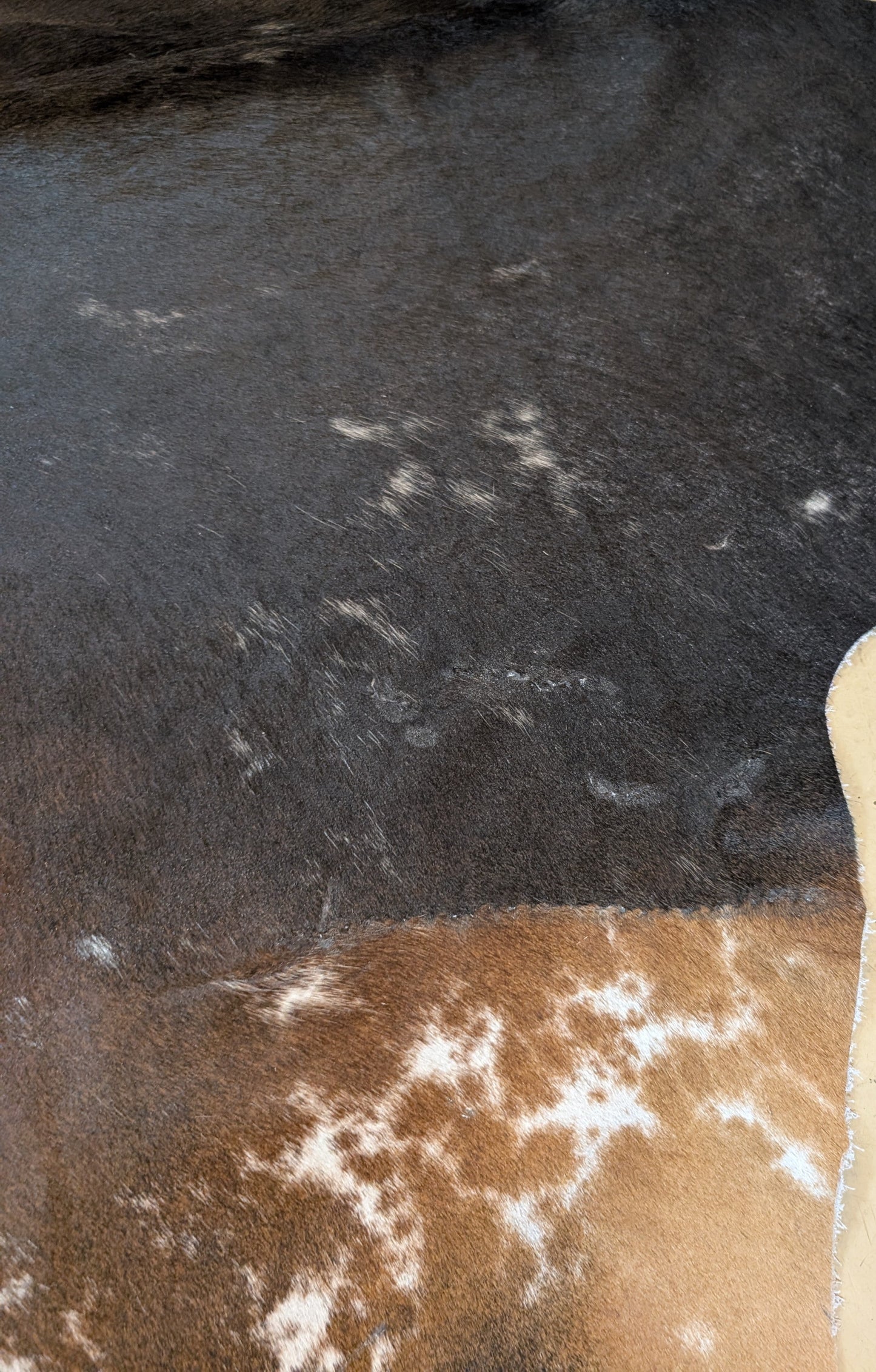 "Shakira" Full Cowhide - Tri-Color