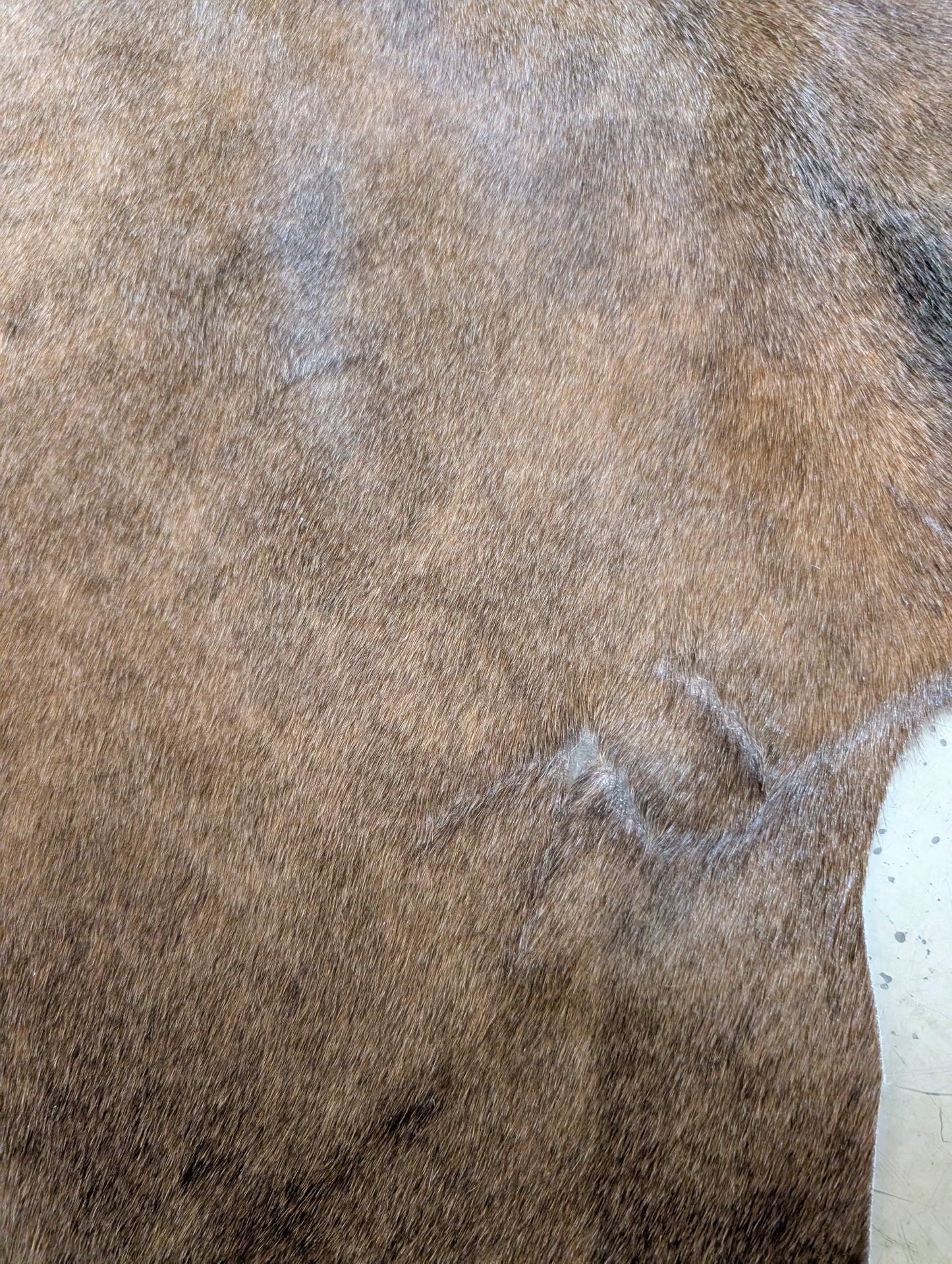 "Rattler" Full Cowhide