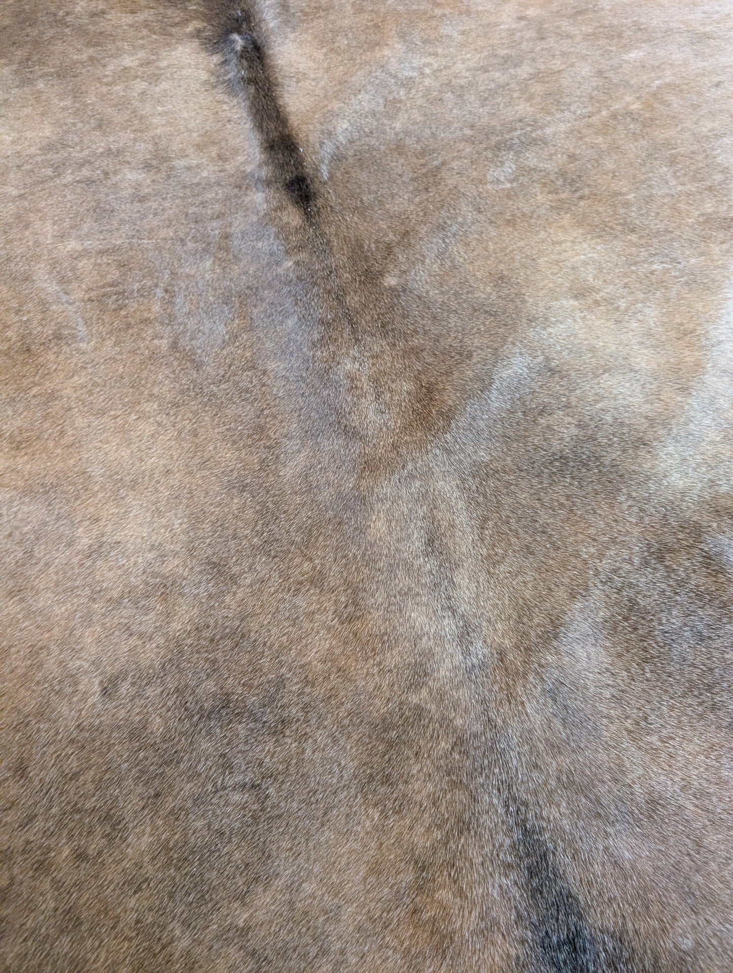 "Rattler" Full Cowhide