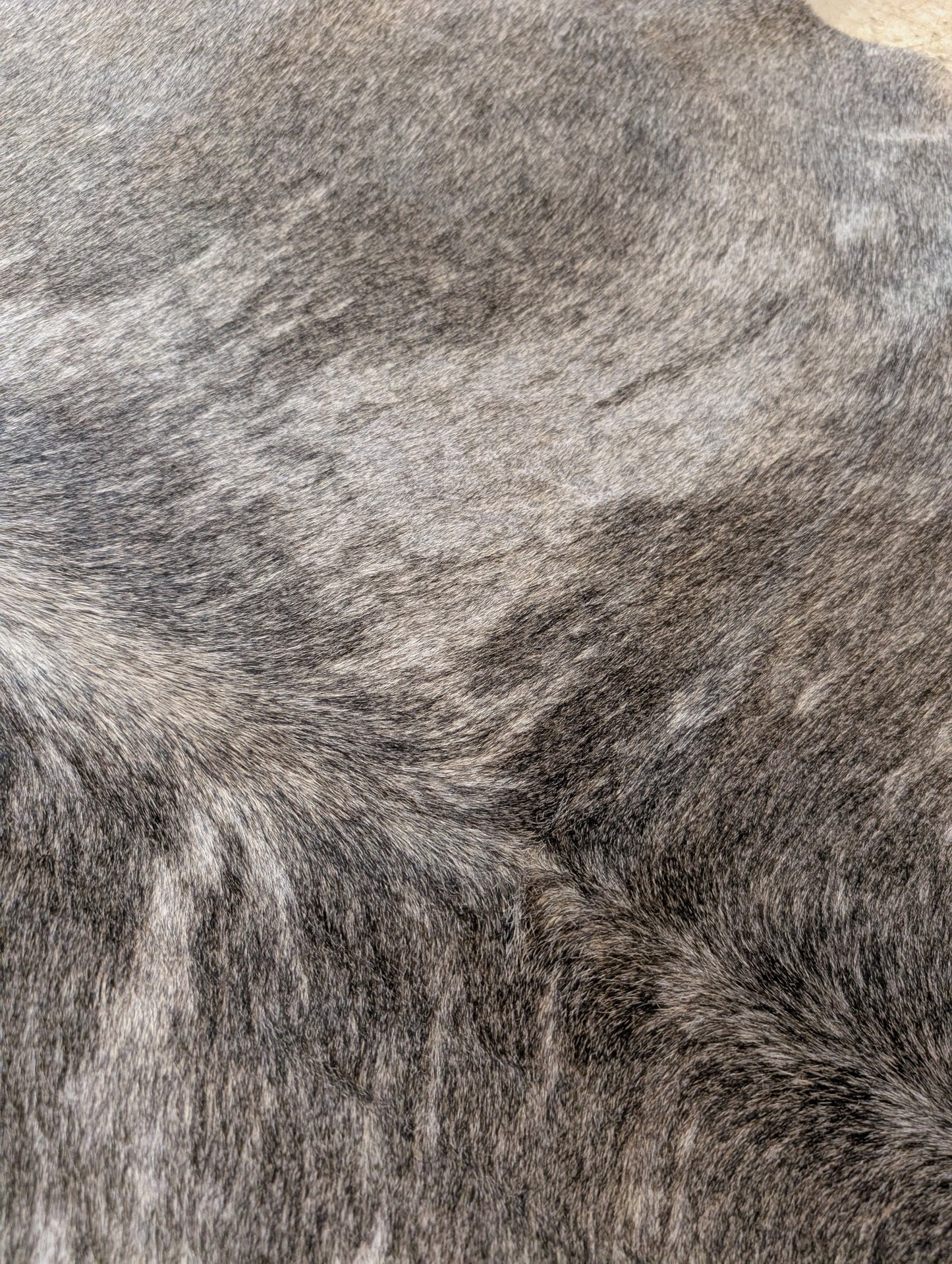 "Silvey" Full Cowhide