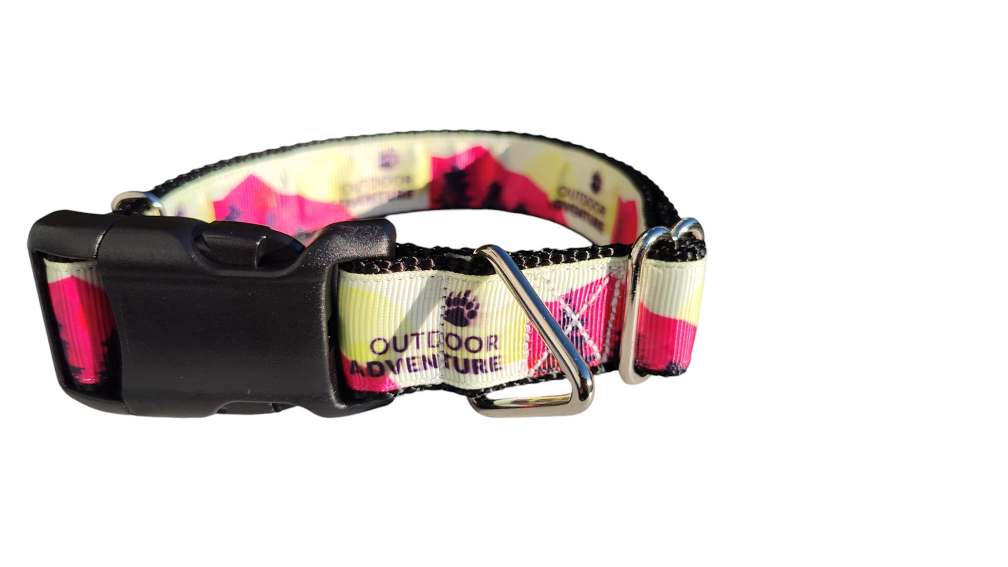 Outdoor Adventure Nylon Dog Collar
