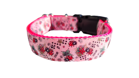 Little Lady Ladybug Nylon Dog Collar