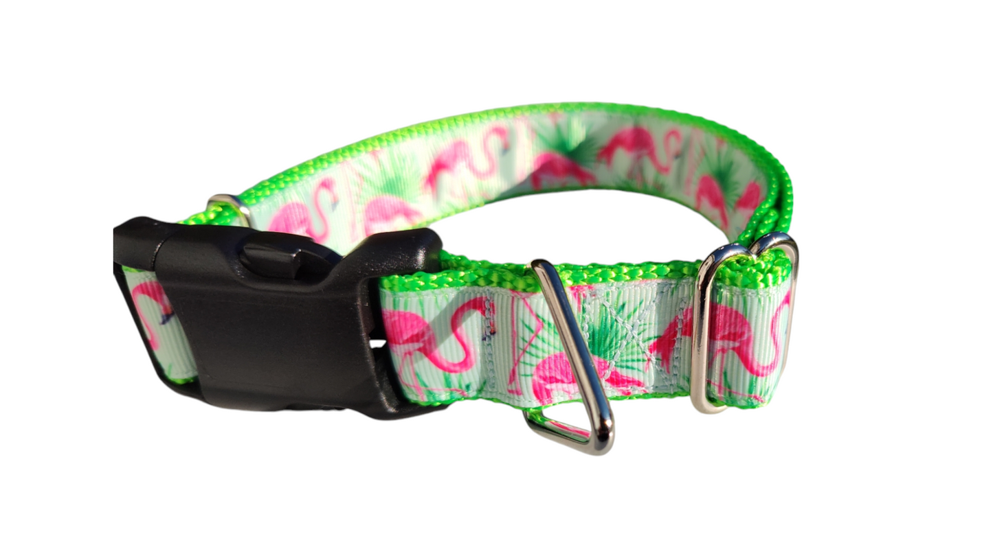 Mint Flamingo Nylon Dog Collar