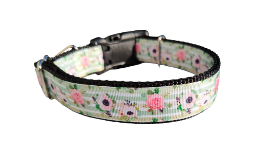 Flowers on Mint Stripes Nylon Dog Collar