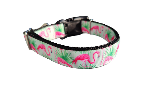 Mint Flamingo Nylon Dog Collar