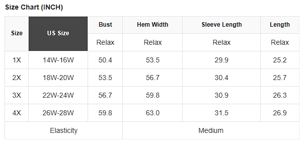 Plus Size Leopard Colorblock Raglan Long Sleeve Blouse